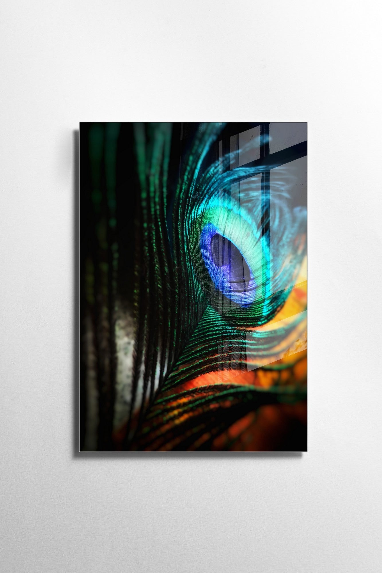 981GLS1777Tribo Home