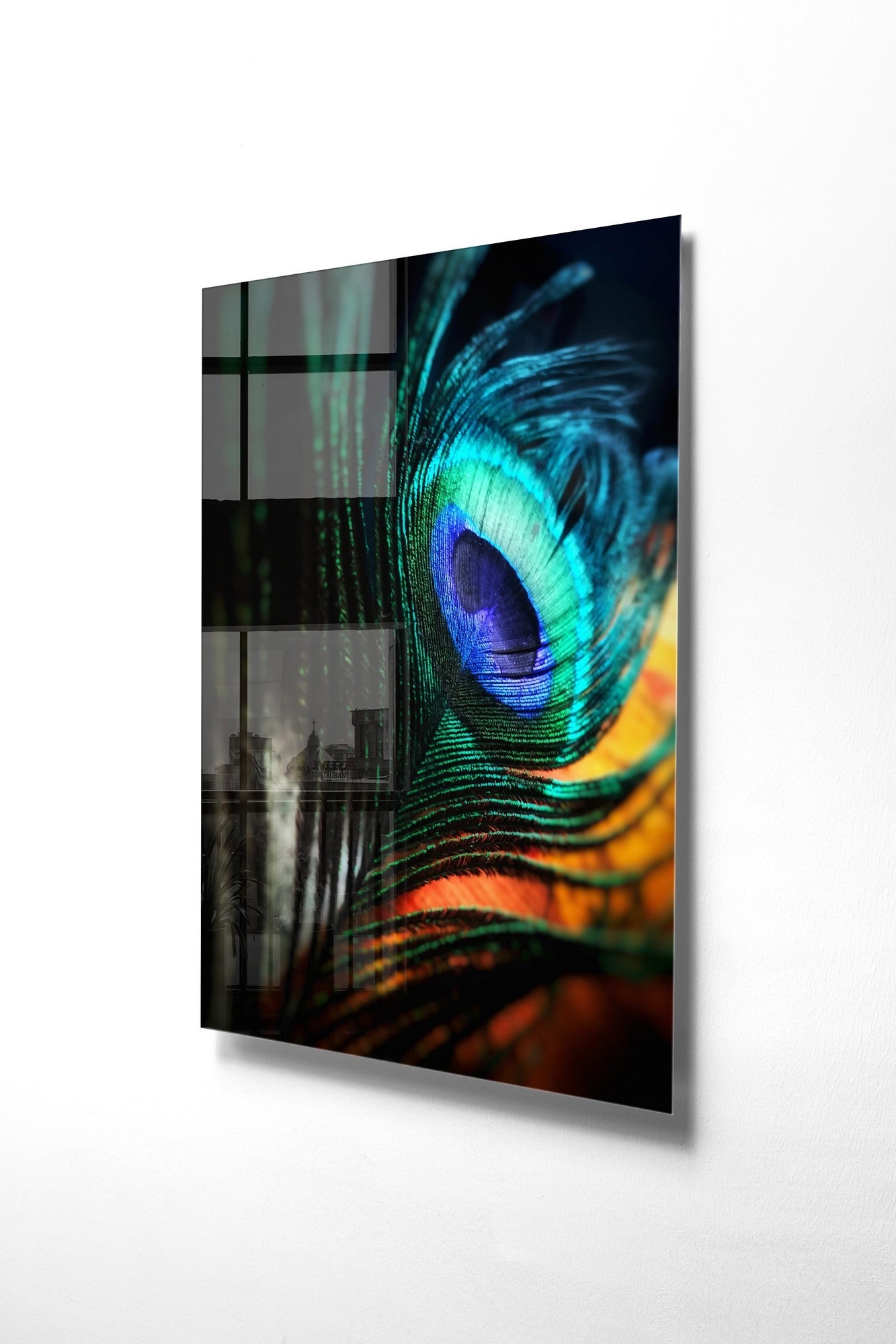 981GLS1778Tribo Home