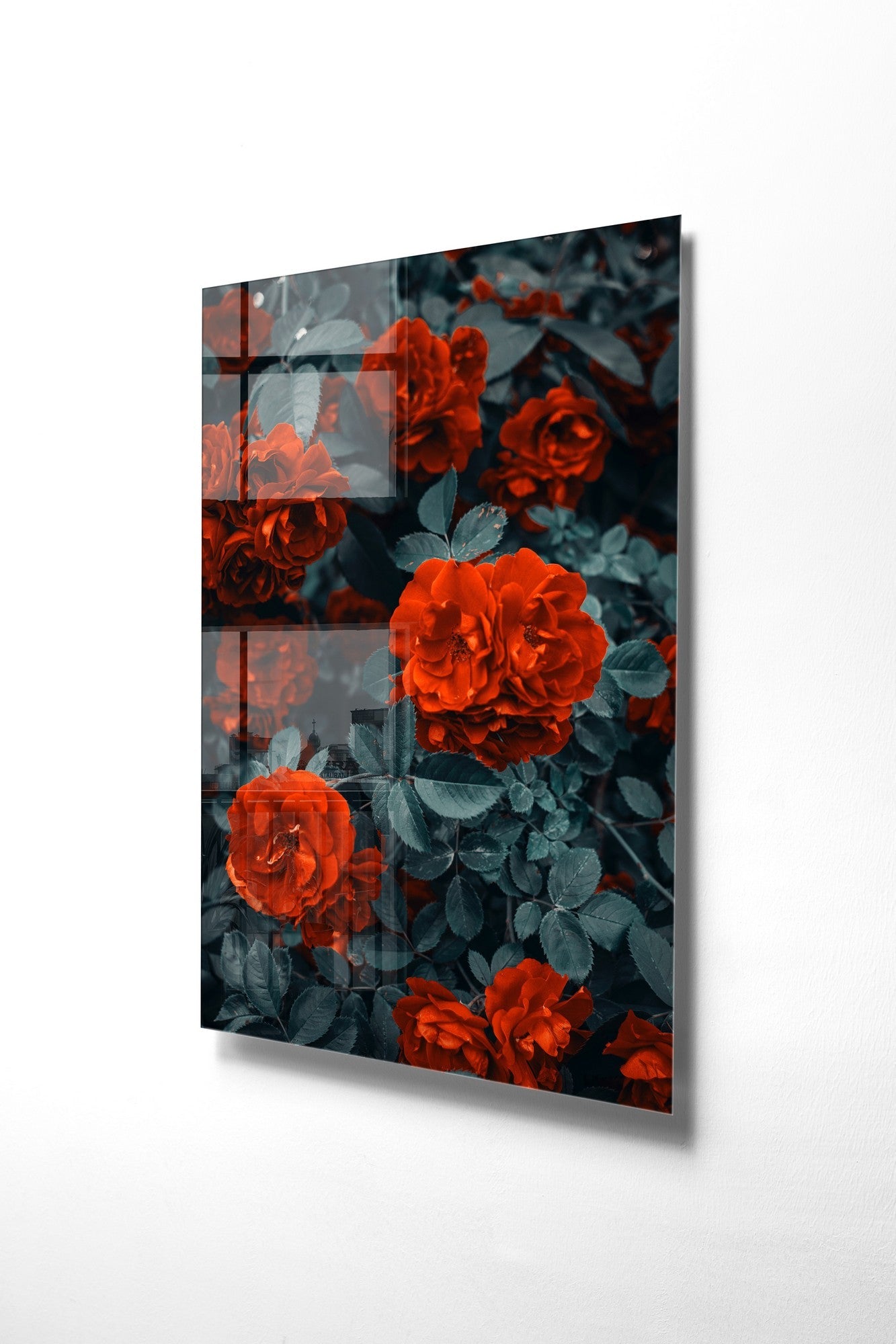 981GLS1779Tribo Home