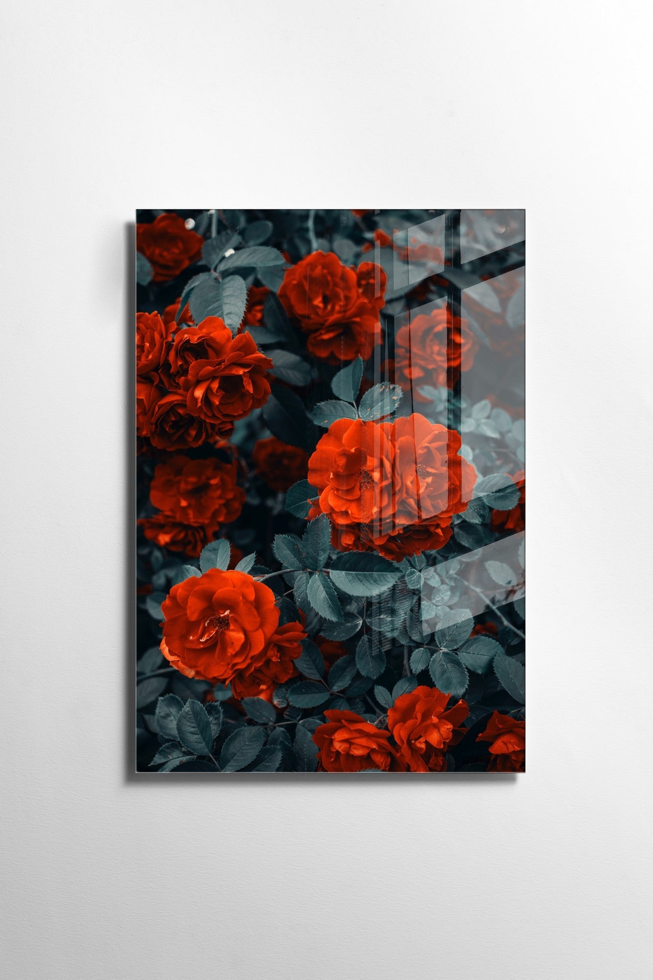 981GLS1782Tribo Home