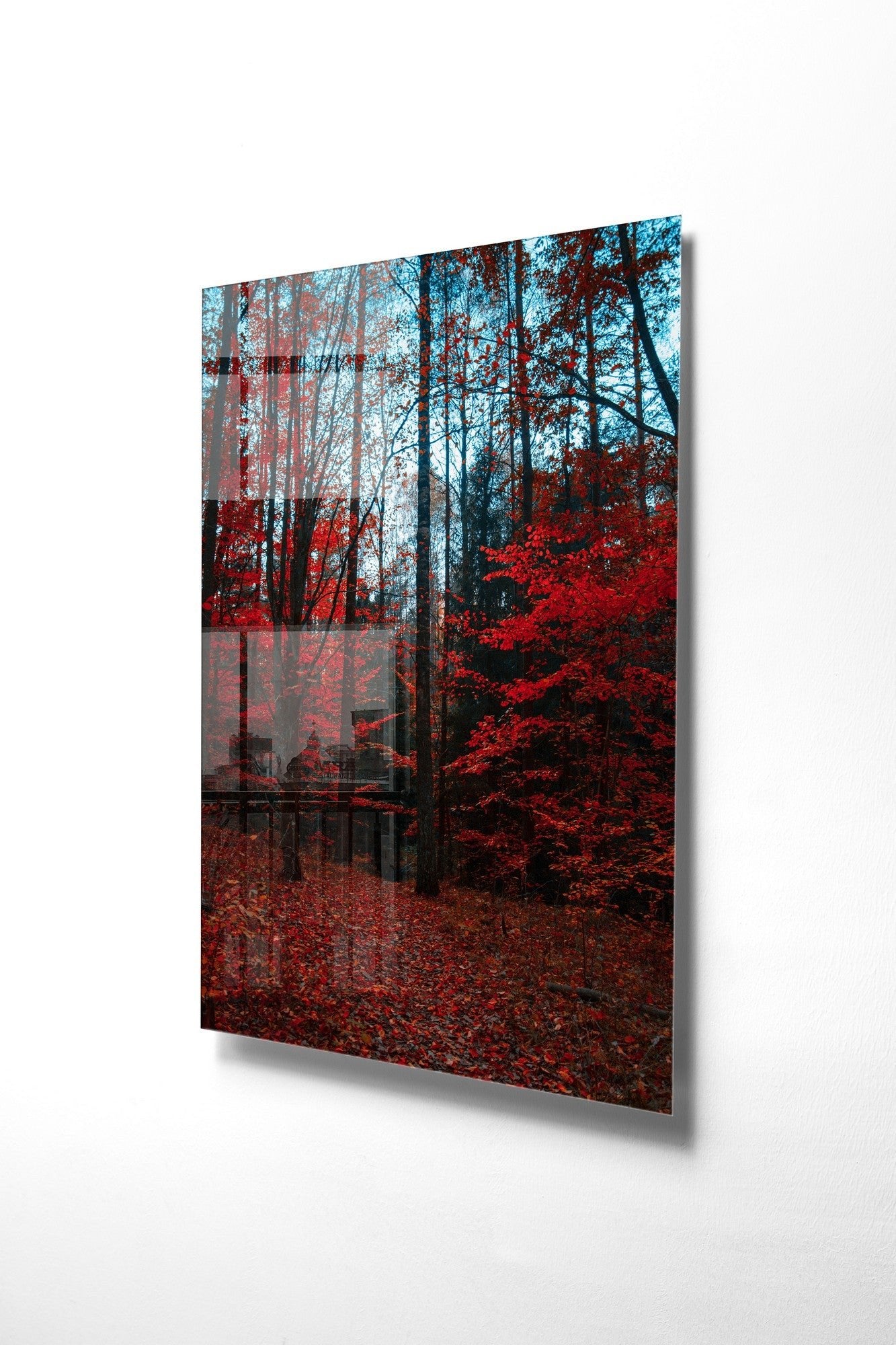 981GLS1786Tribo Home