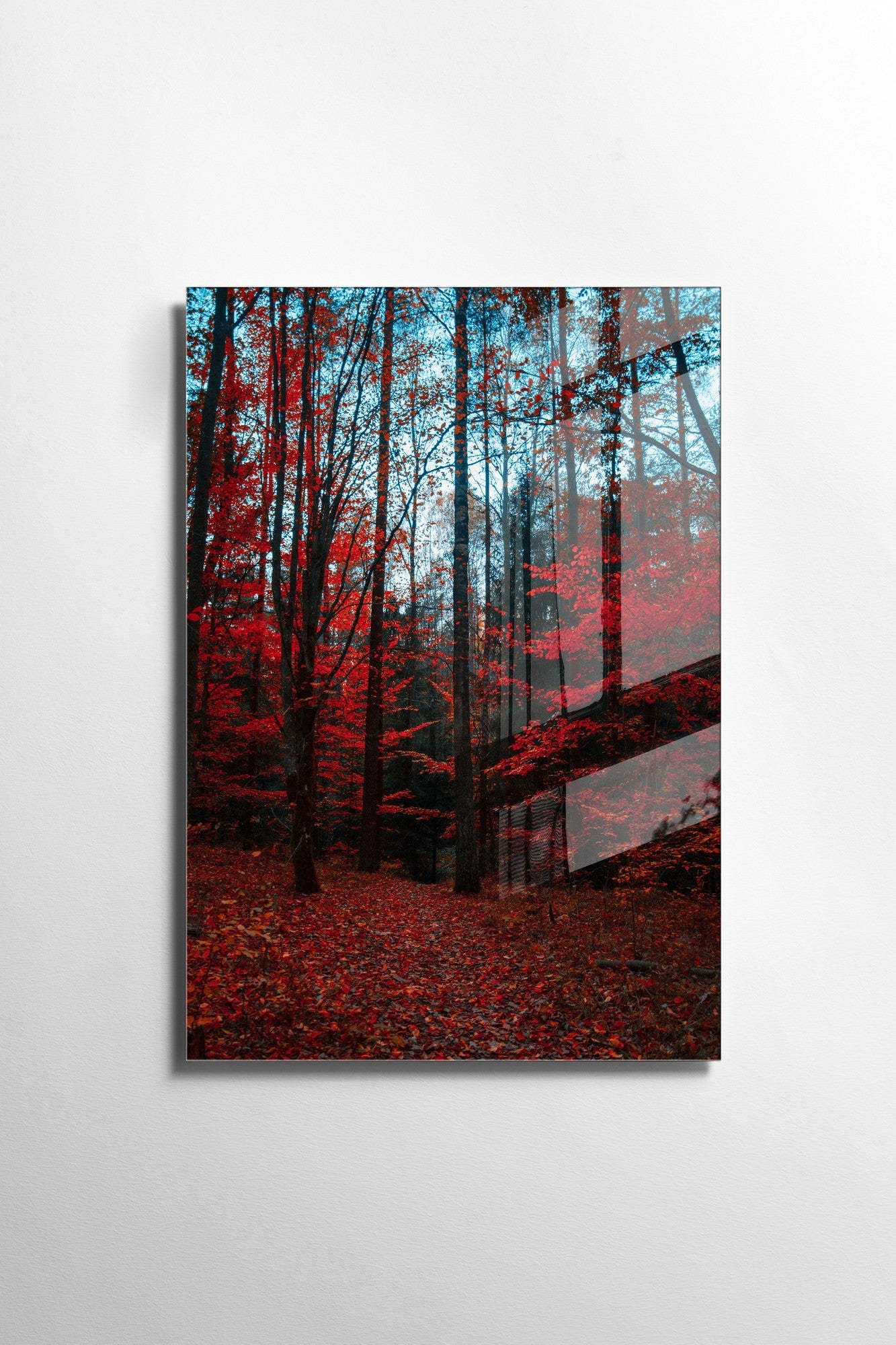 981GLS1786Tribo Home