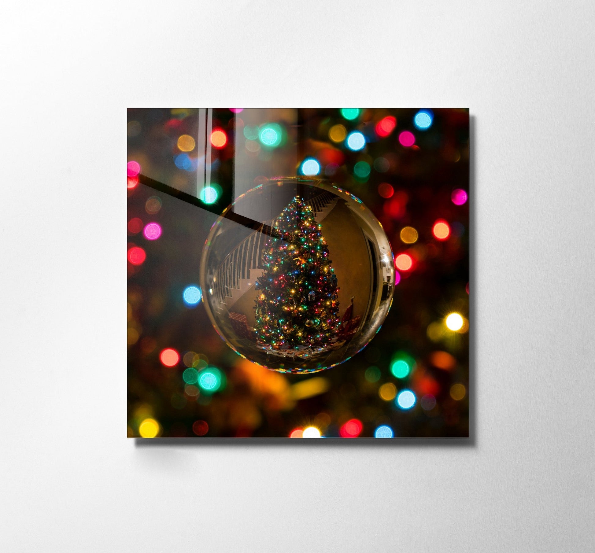 981GLS1791Tribo Home