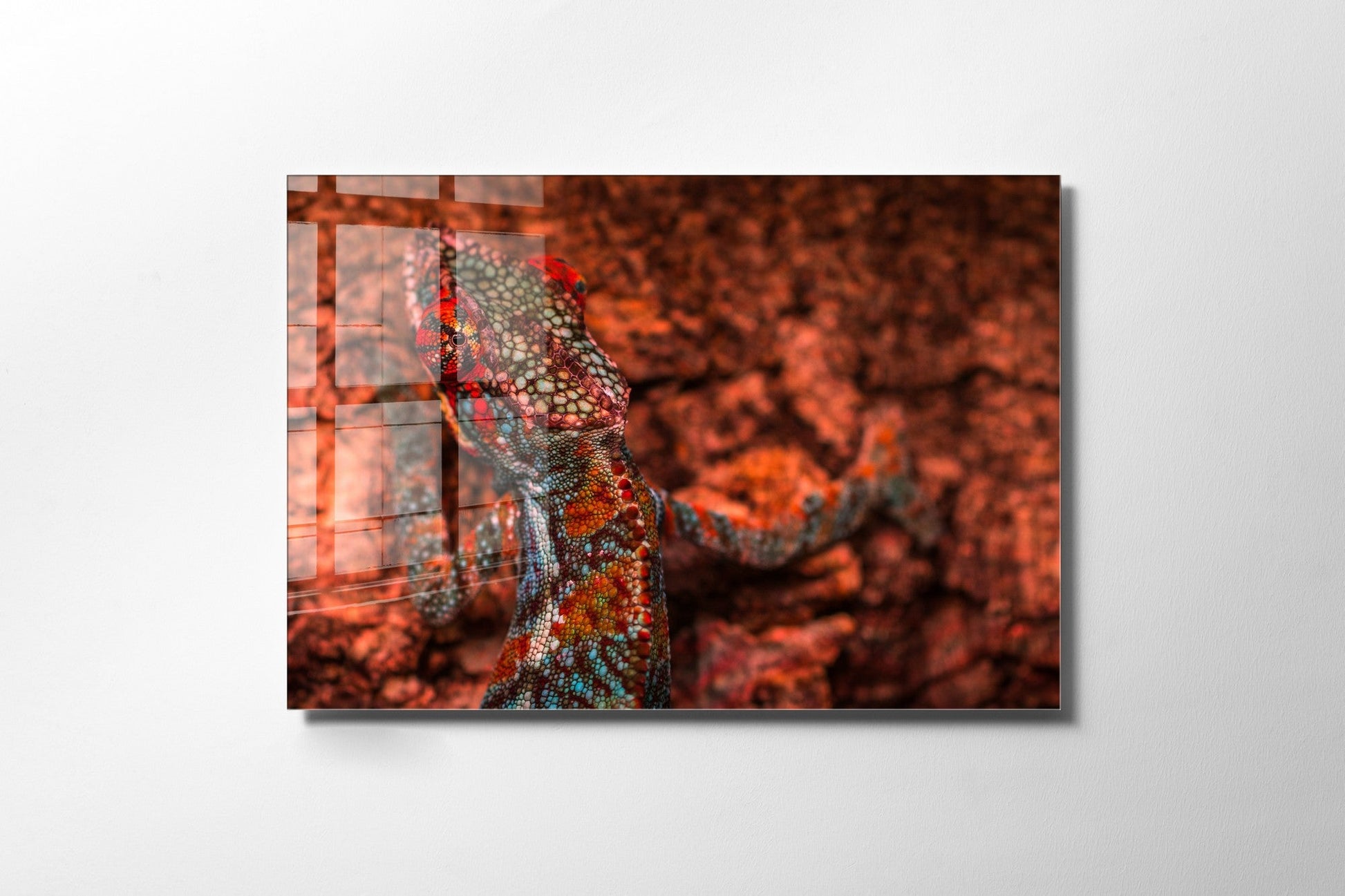 981GLS1797Tribo Home