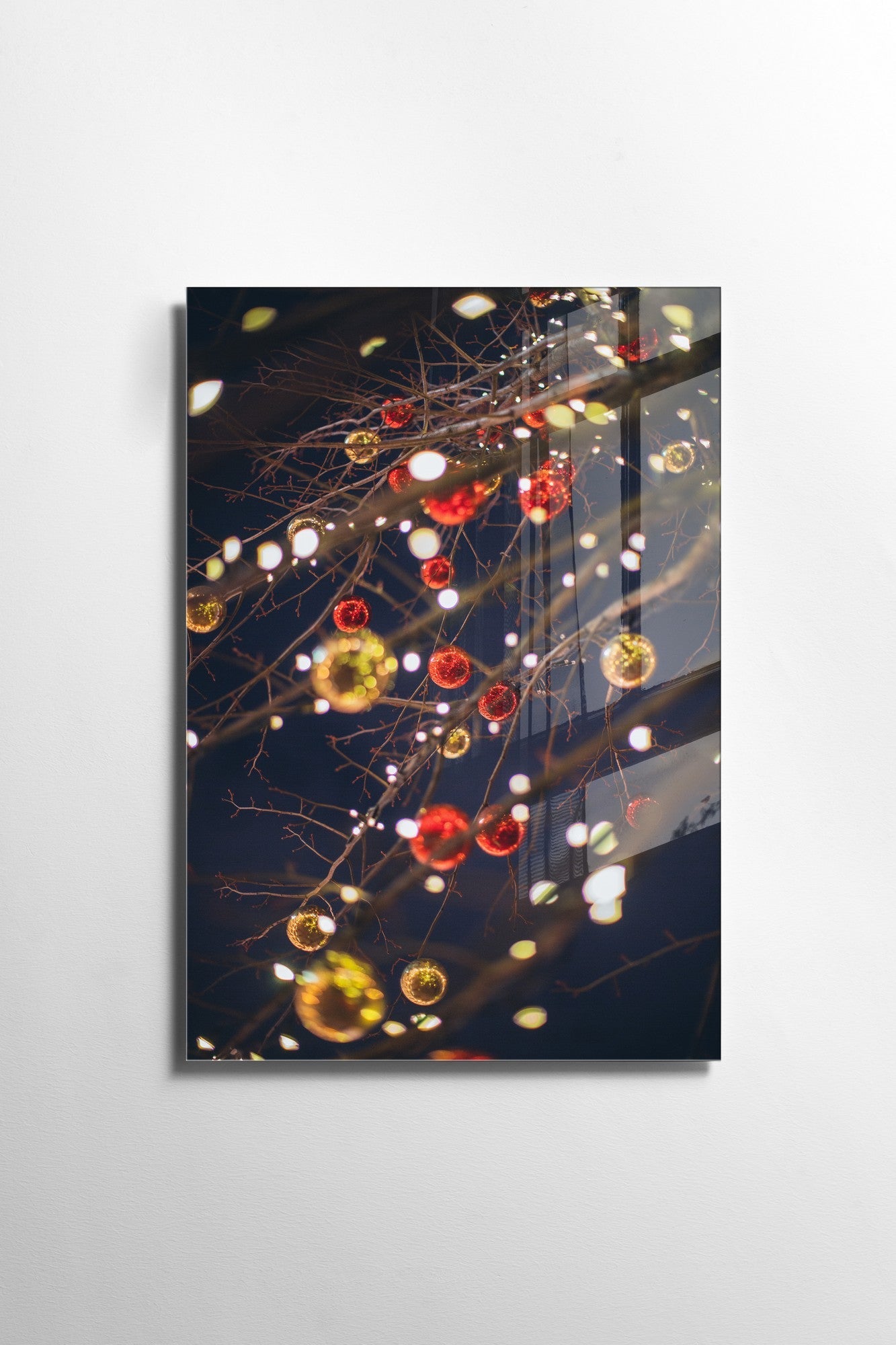 981GLS1802Tribo Home