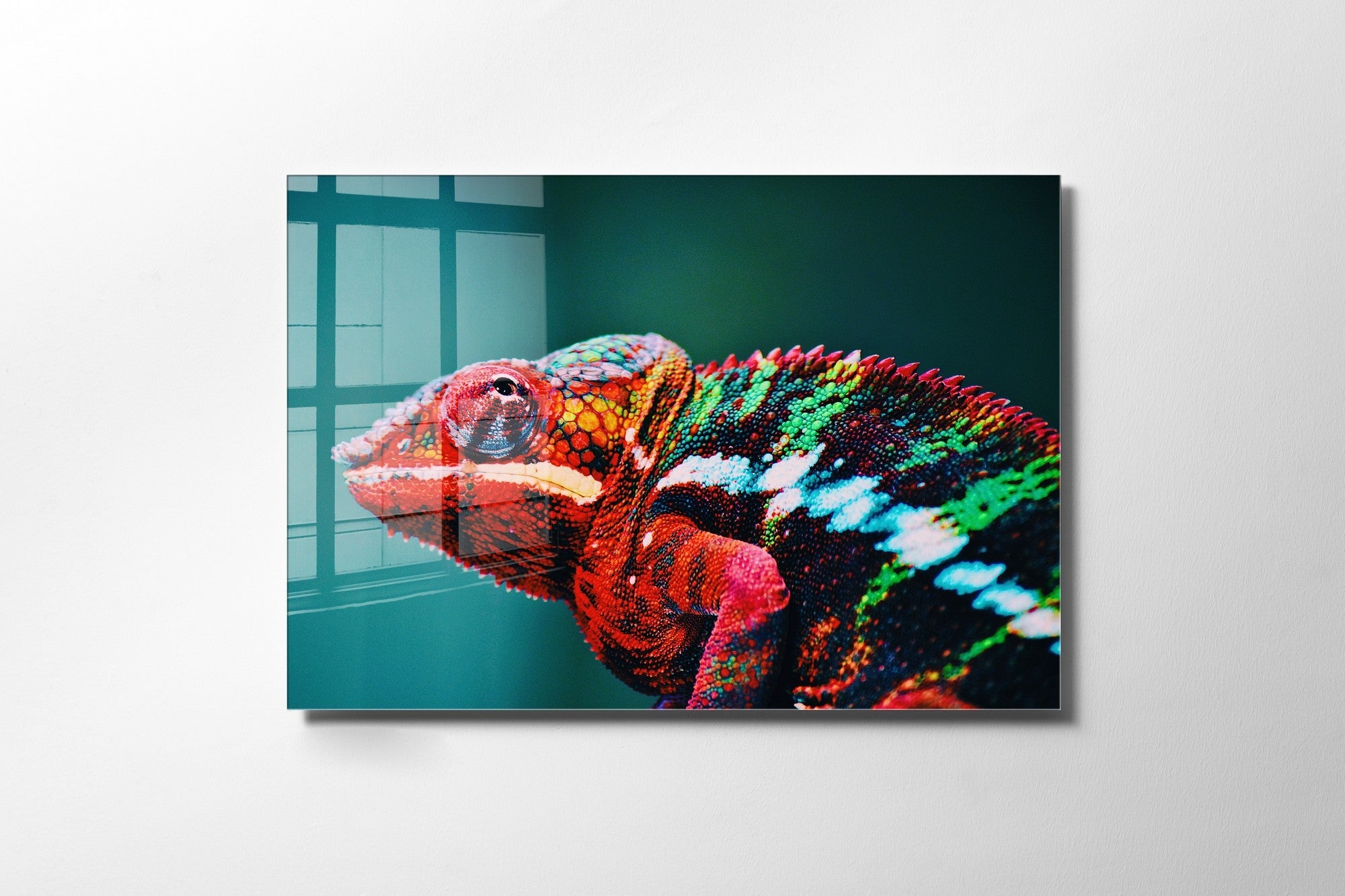 981GLS1806Tribo Home