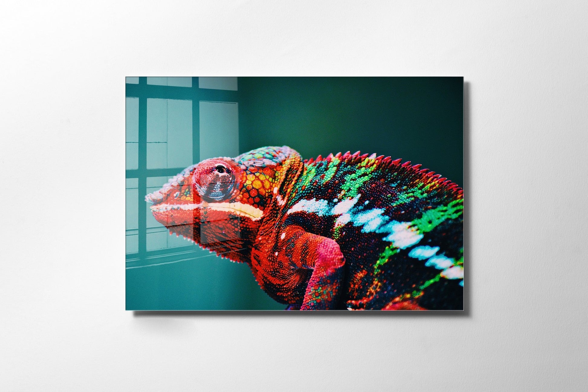 981GLS1808Tribo Home