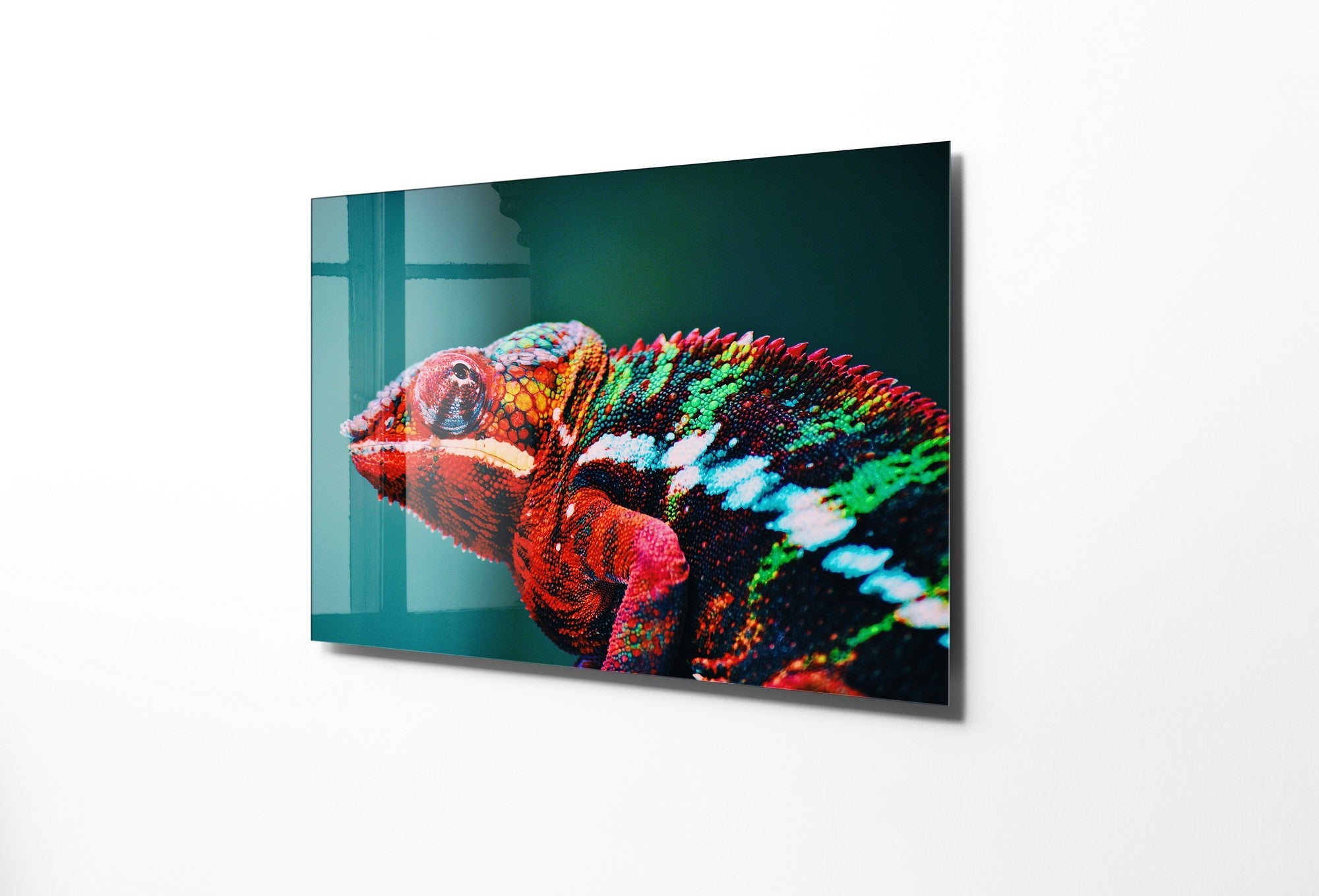 981GLS1809Tribo Home