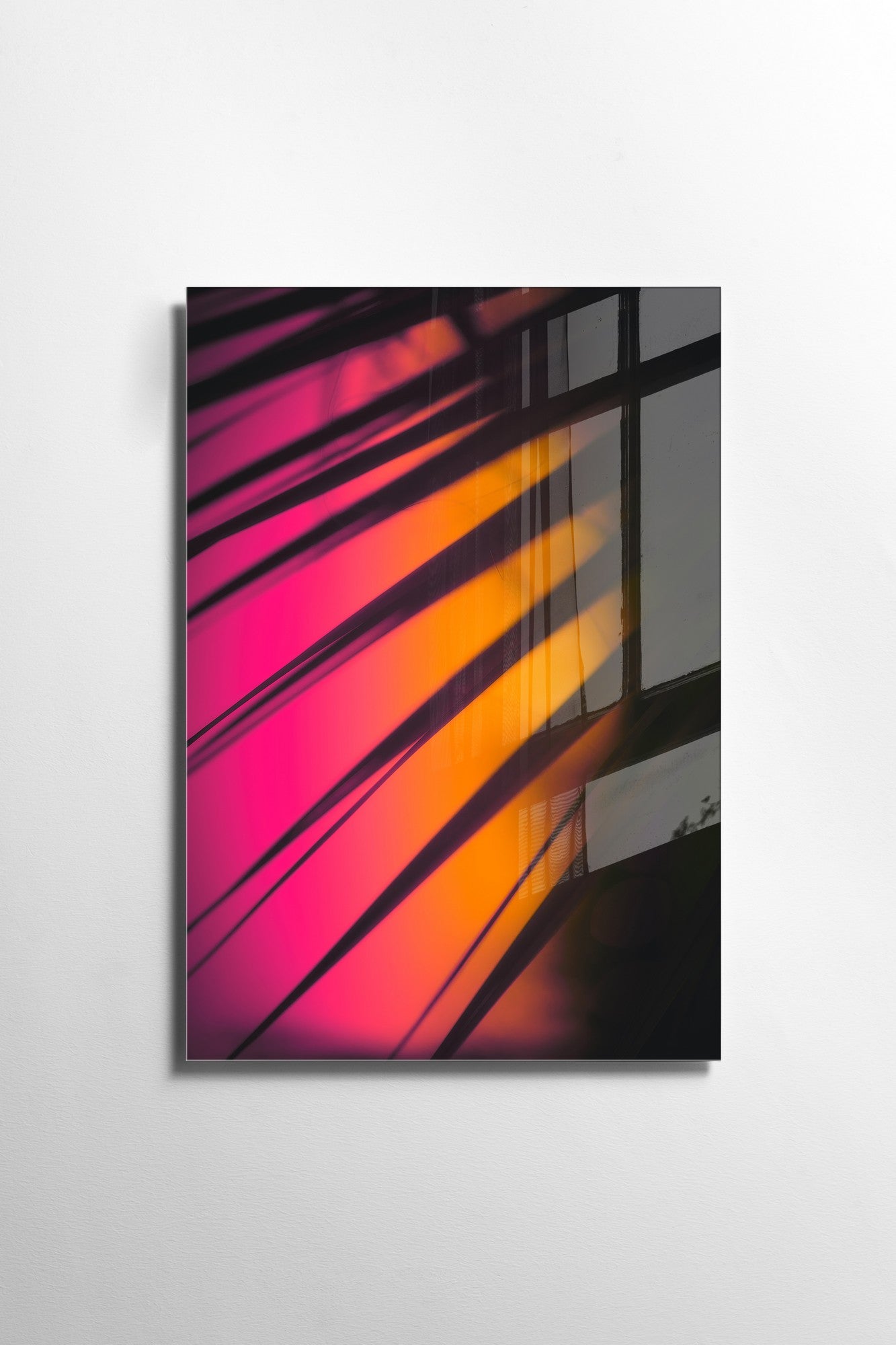 981GLS1812Tribo Home