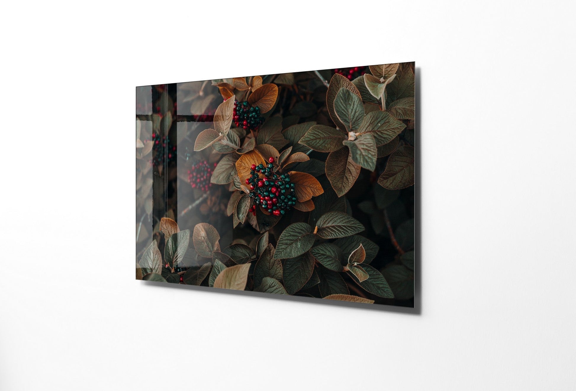 981GLS1828Tribo Home