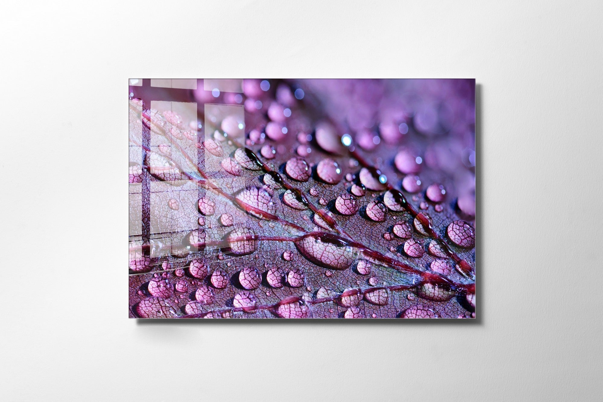 981GLS1861Tribo Home