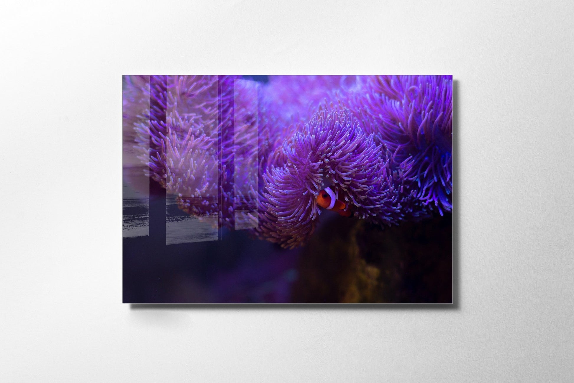 981GLS2141Tribo Home