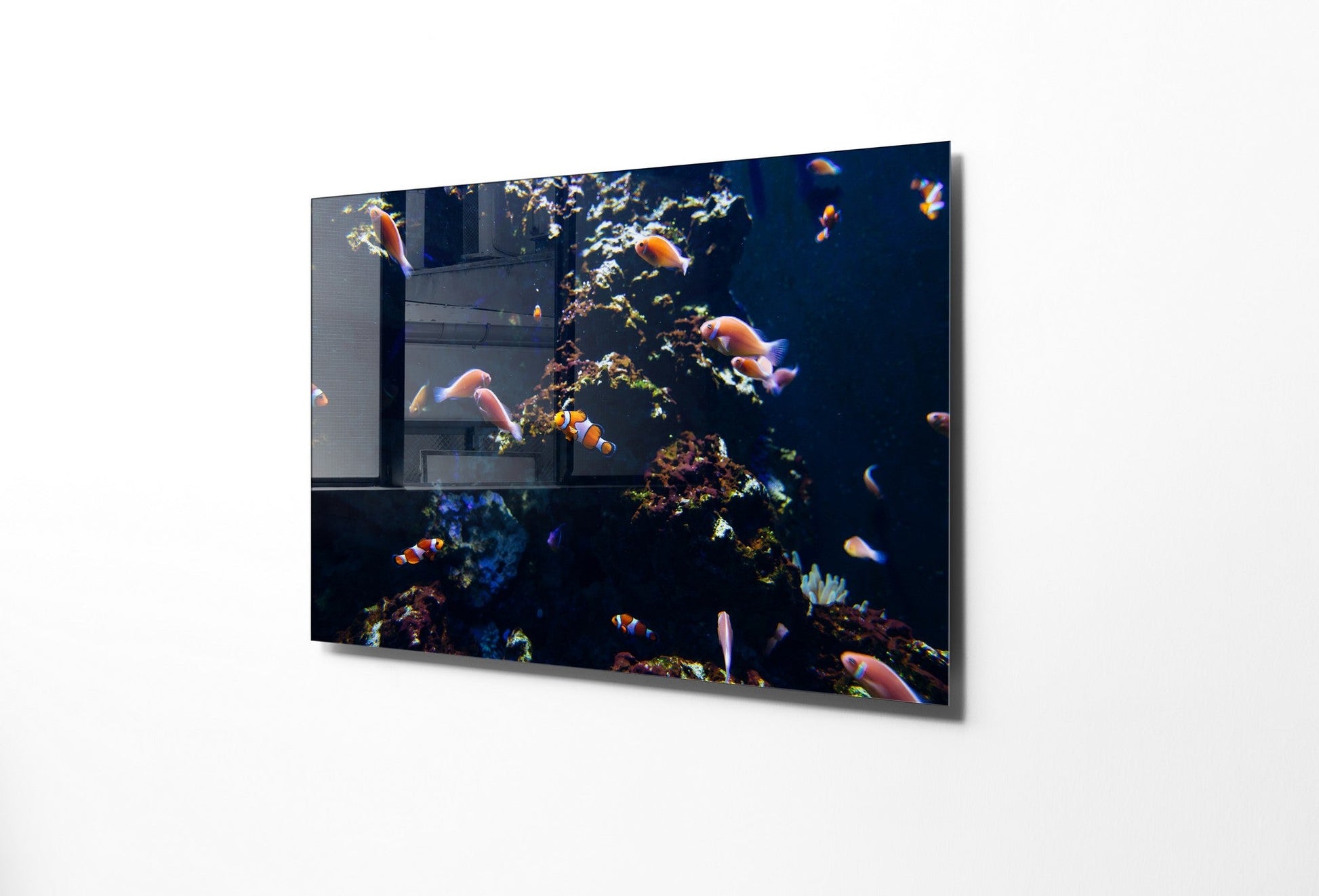 981GLS2168Tribo Home