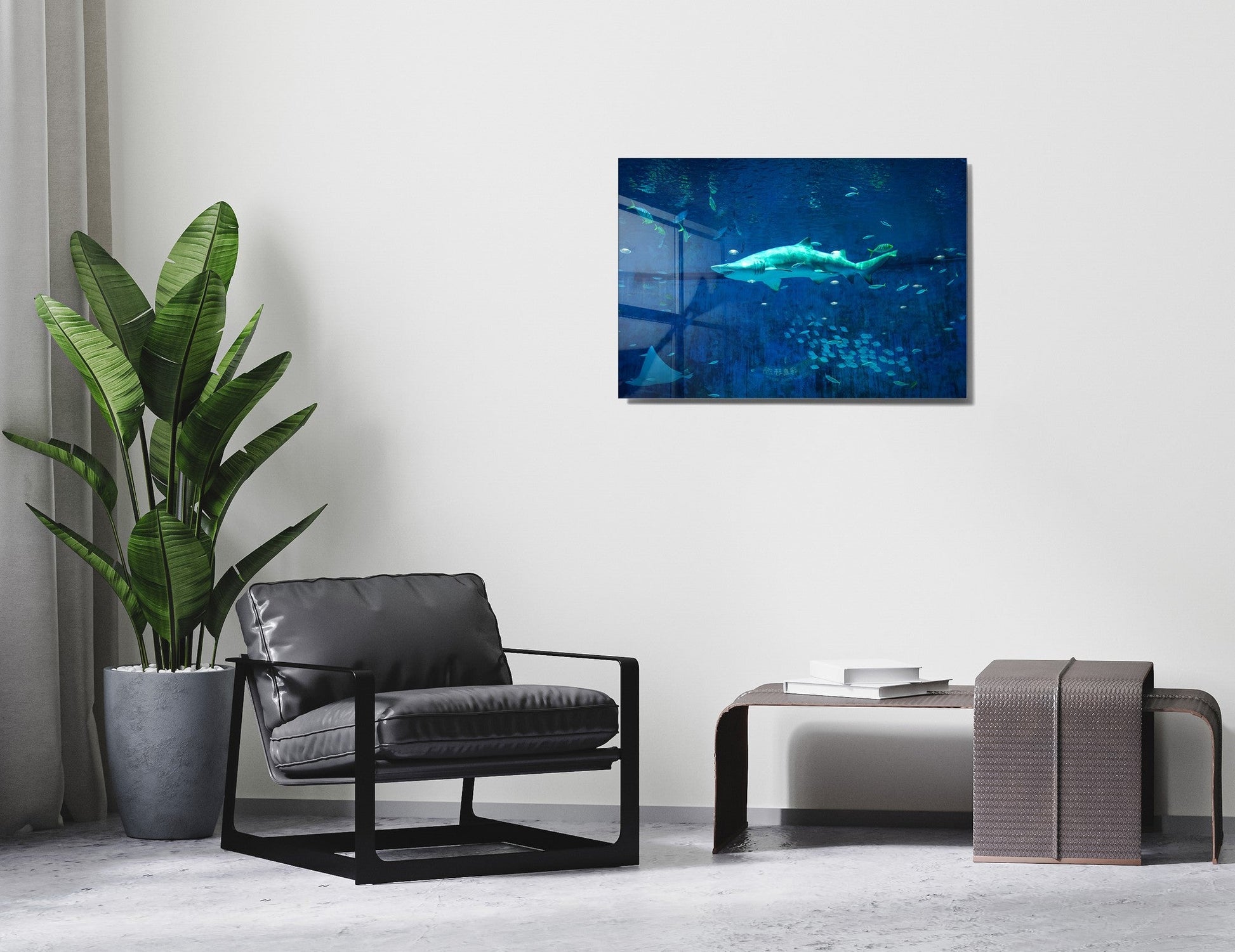 981GLS2177Tribo Home