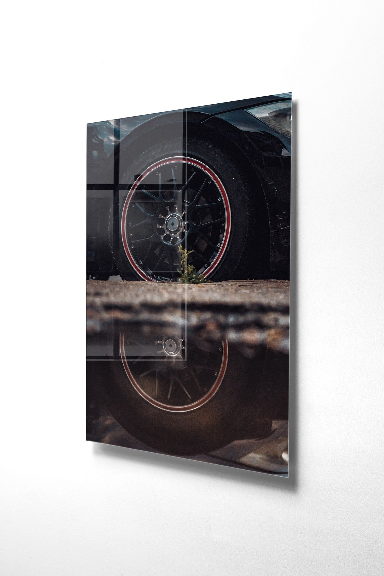 981GLS2264Tribo Home