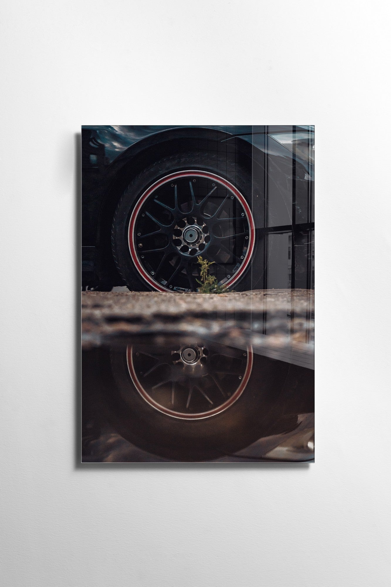 981GLS2265Tribo Home