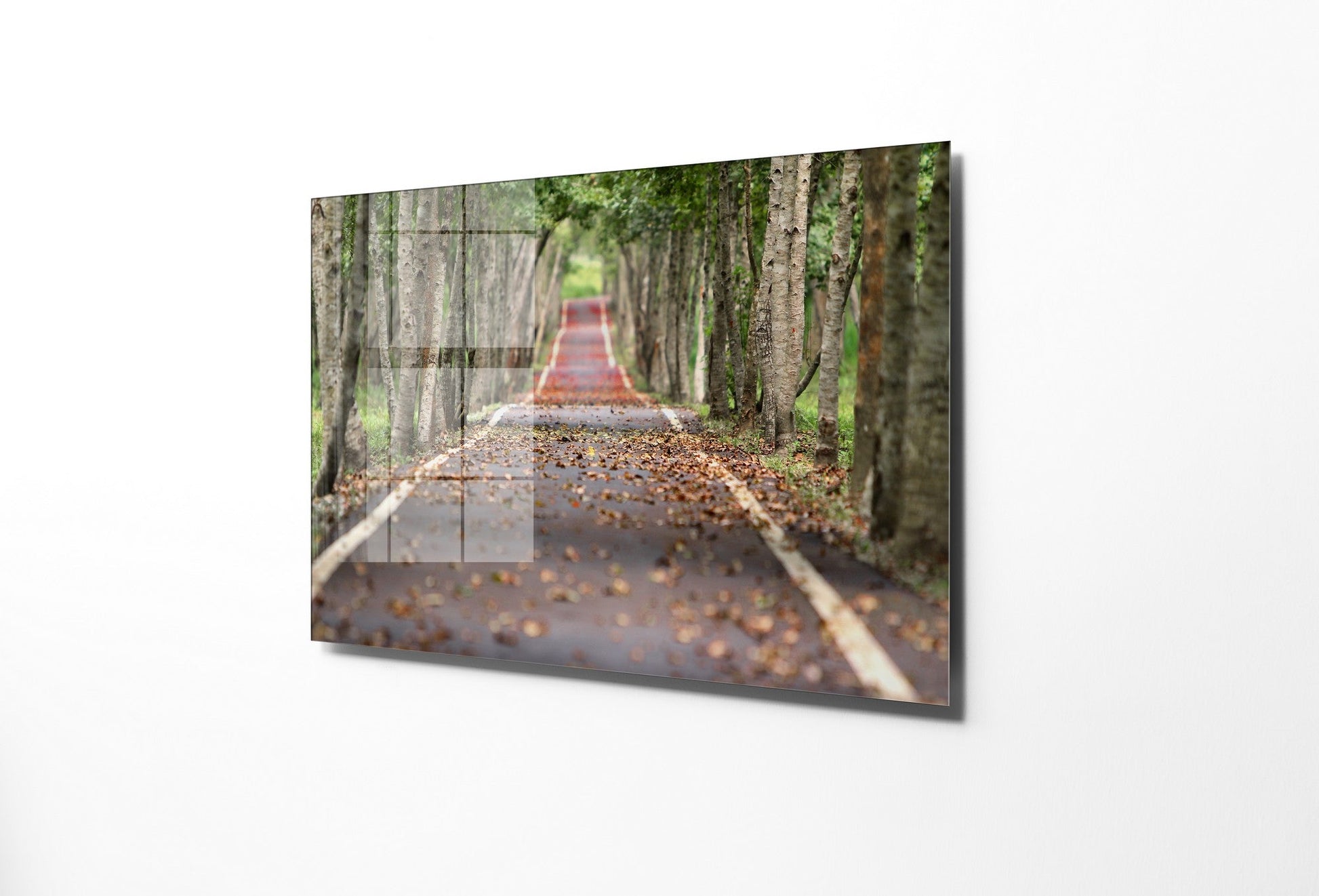 981GLS2296Tribo Home