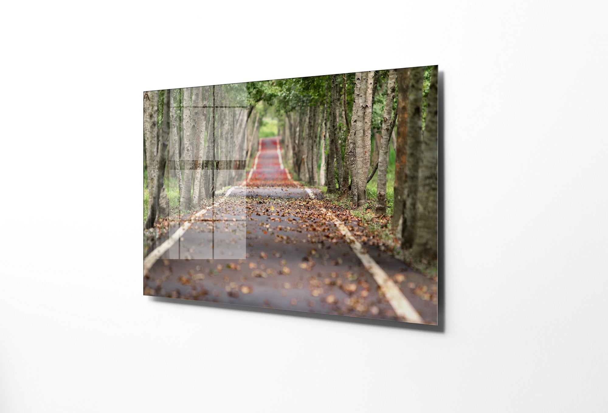 981GLS2297Tribo Home