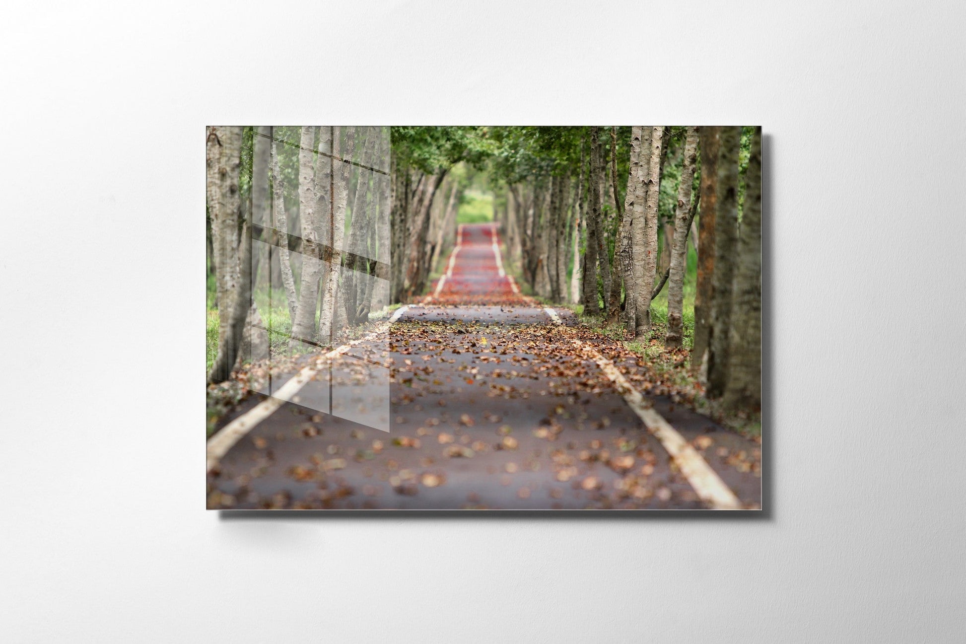 981GLS2298Tribo Home