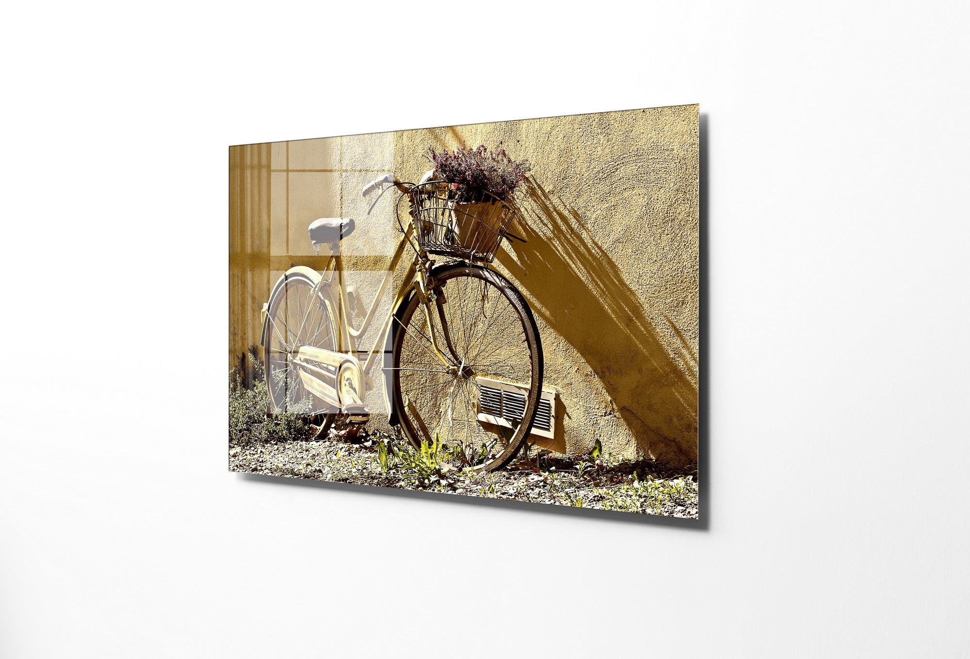 981GLS2306Tribo Home