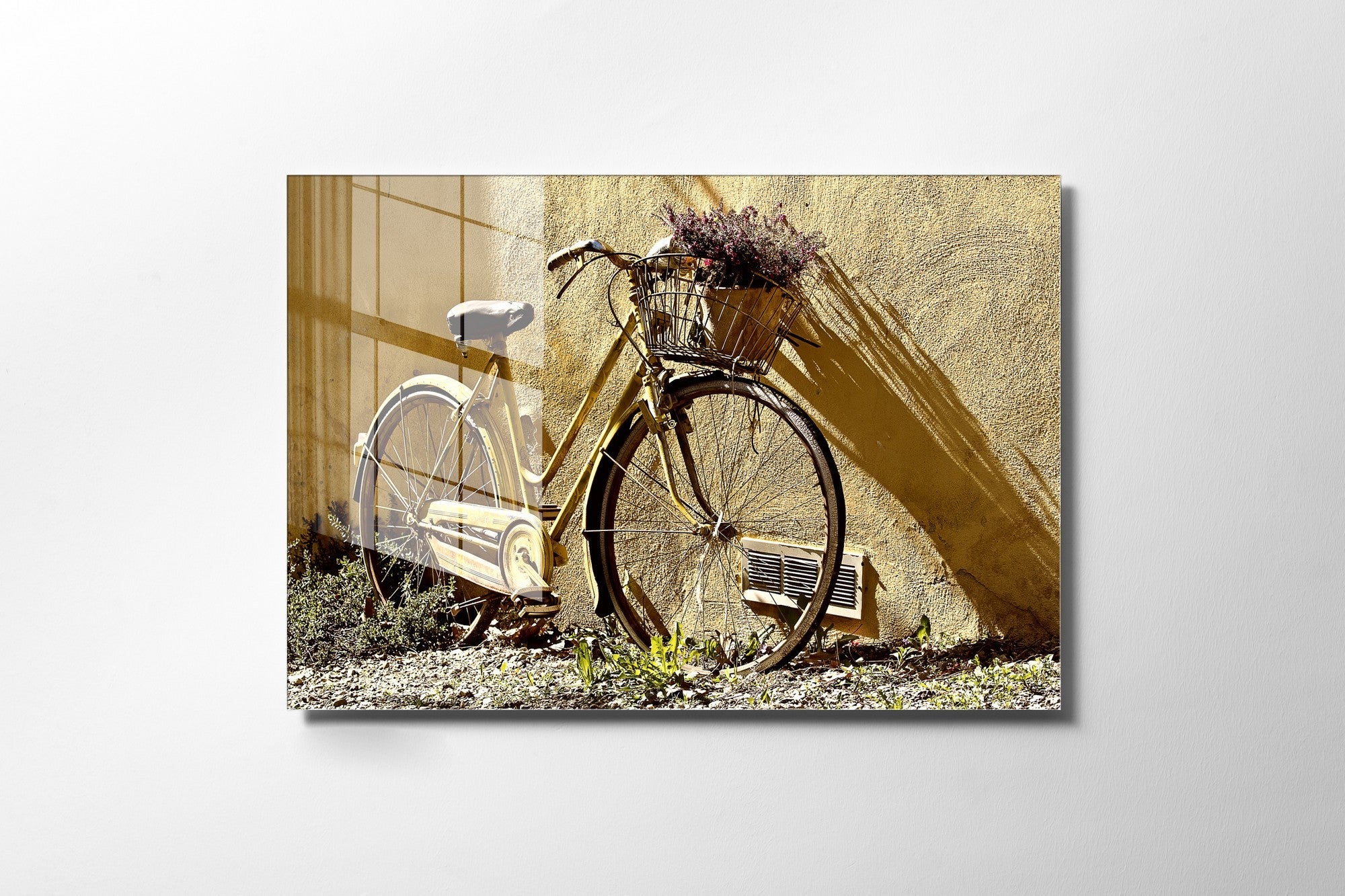 981GLS2307Tribo Home