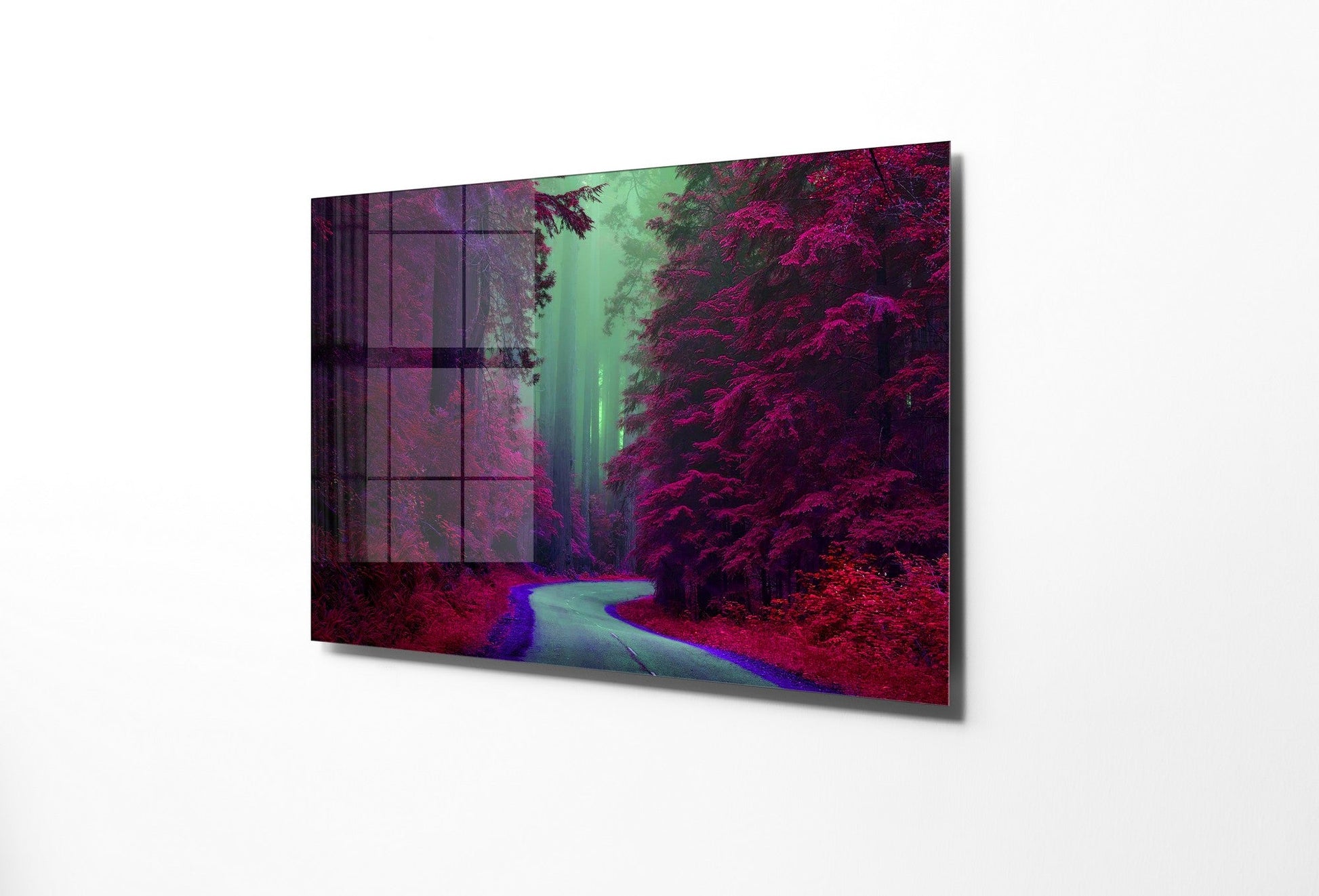 981GLS2343Tribo Home