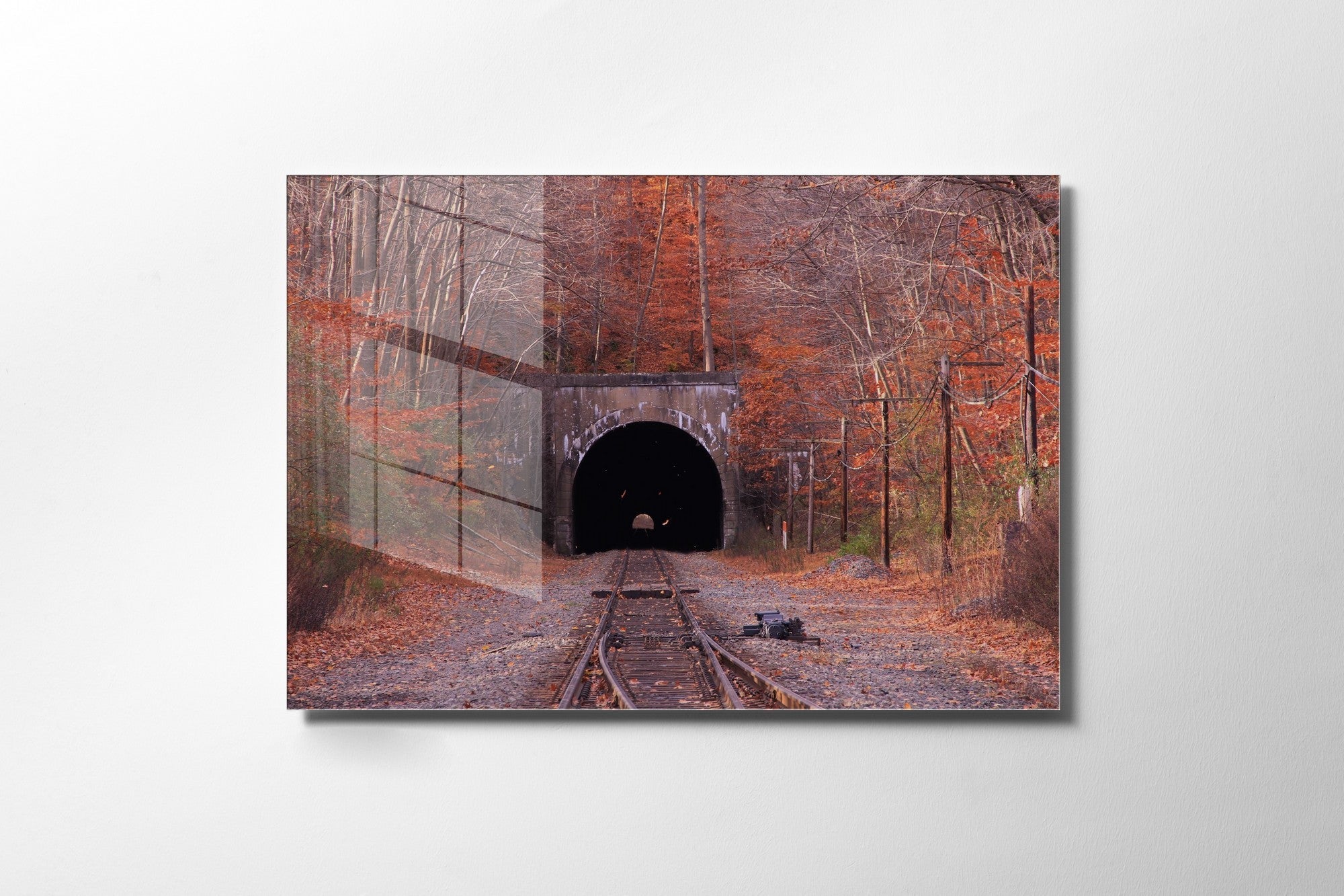 981GLS2354Tribo Home