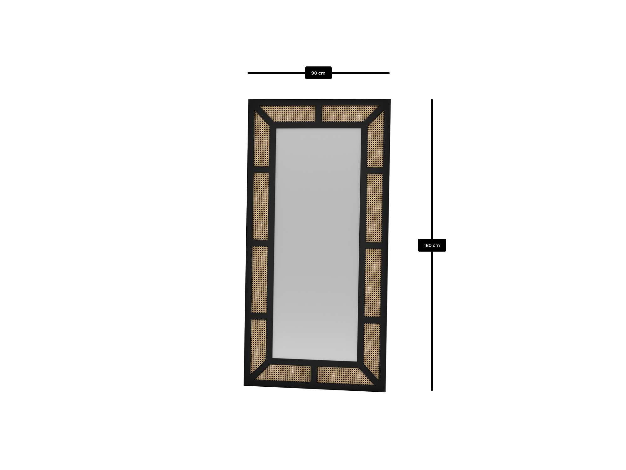 985ETR1123Tribo Home