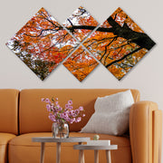 Conjunto Decorativo MDF Multicolor 4 Peças - Impressão UV Premium para Parede