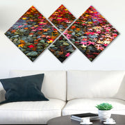 Conjunto Decorativo MDF Multicolor 4 Peças - Impressão UV Premium para Parede