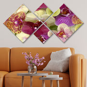 Conjunto Decorativo MDF Multicolor 4 Peças - Impressão UV Premium para Parede