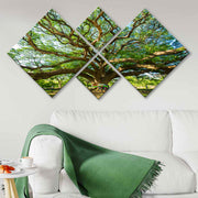 Conjunto Decorativo MDF Multicolor 4 Peças - Impressão UV Premium para Parede