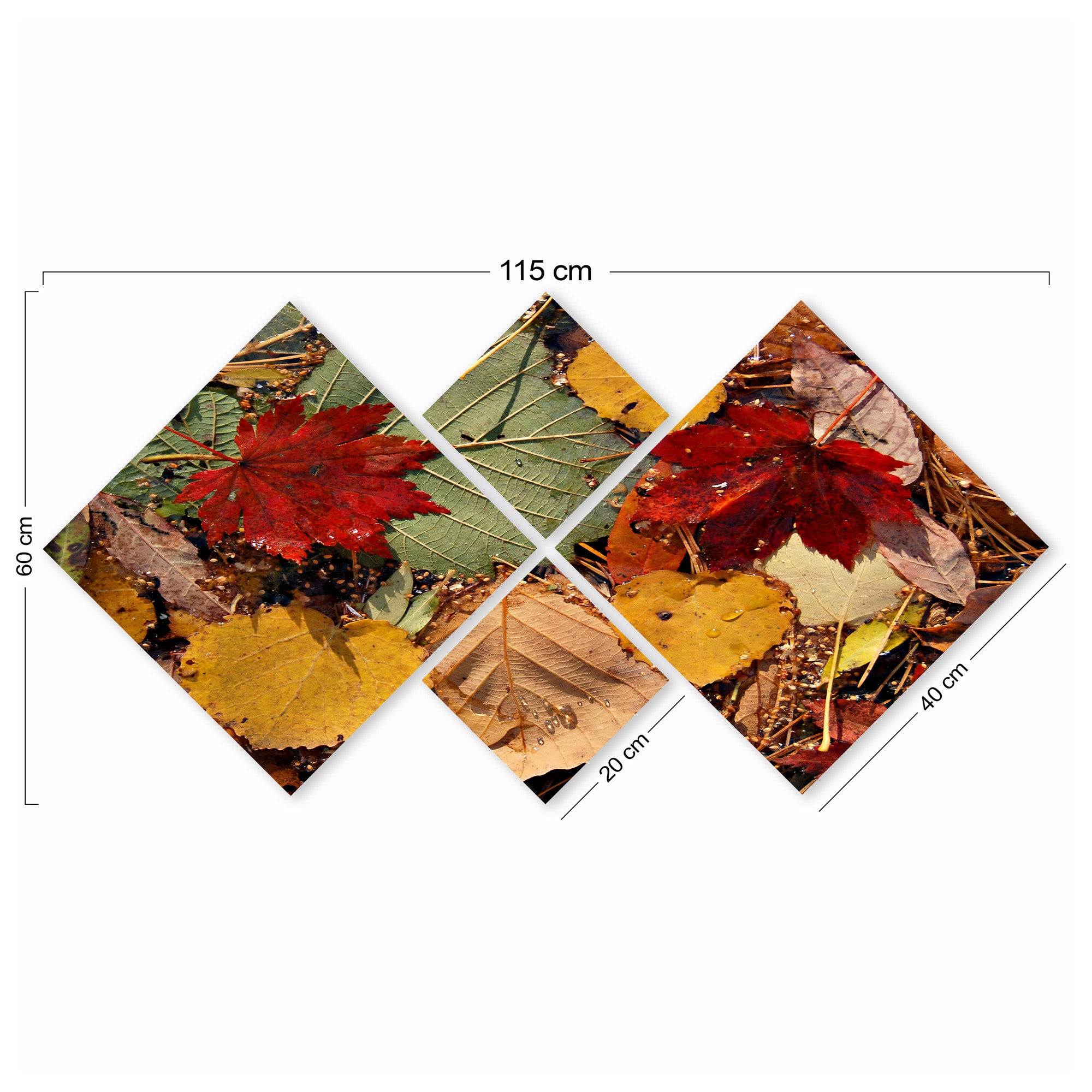 Conjunto Decorativo MDF Multicolor 4 Peças - Impressão UV Premium para Parede