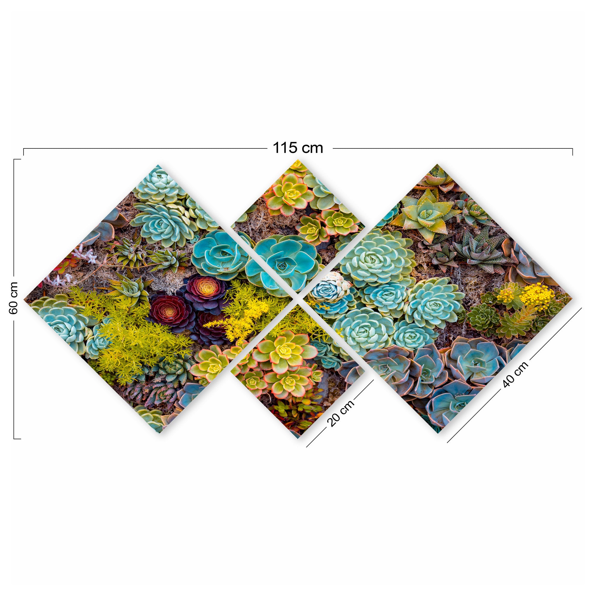 Conjunto Decorativo MDF Multicolor 4 Peças - Impressão UV Premium para Parede