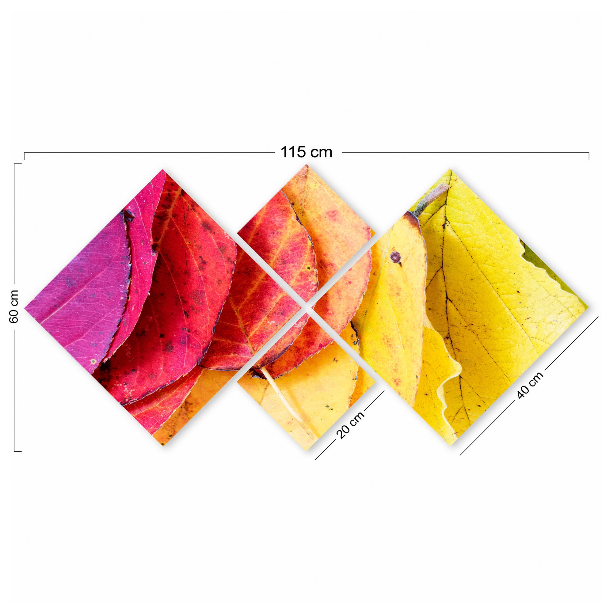 Conjunto Decorativo MDF Multicolor 4 Peças - Impressão UV Premium para Parede