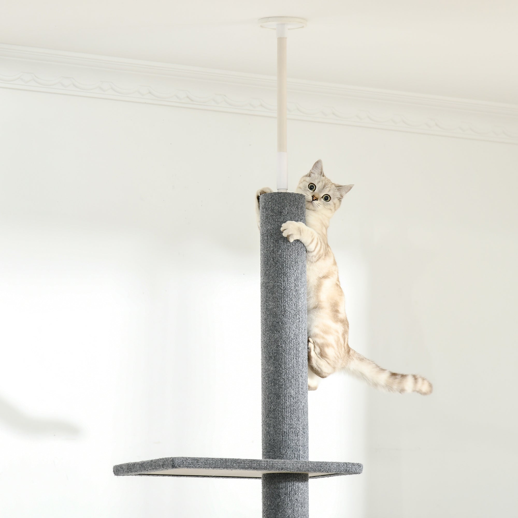 Arranhador para Gatos Chão ao Teto 43x27x228-260 cm Cinzento