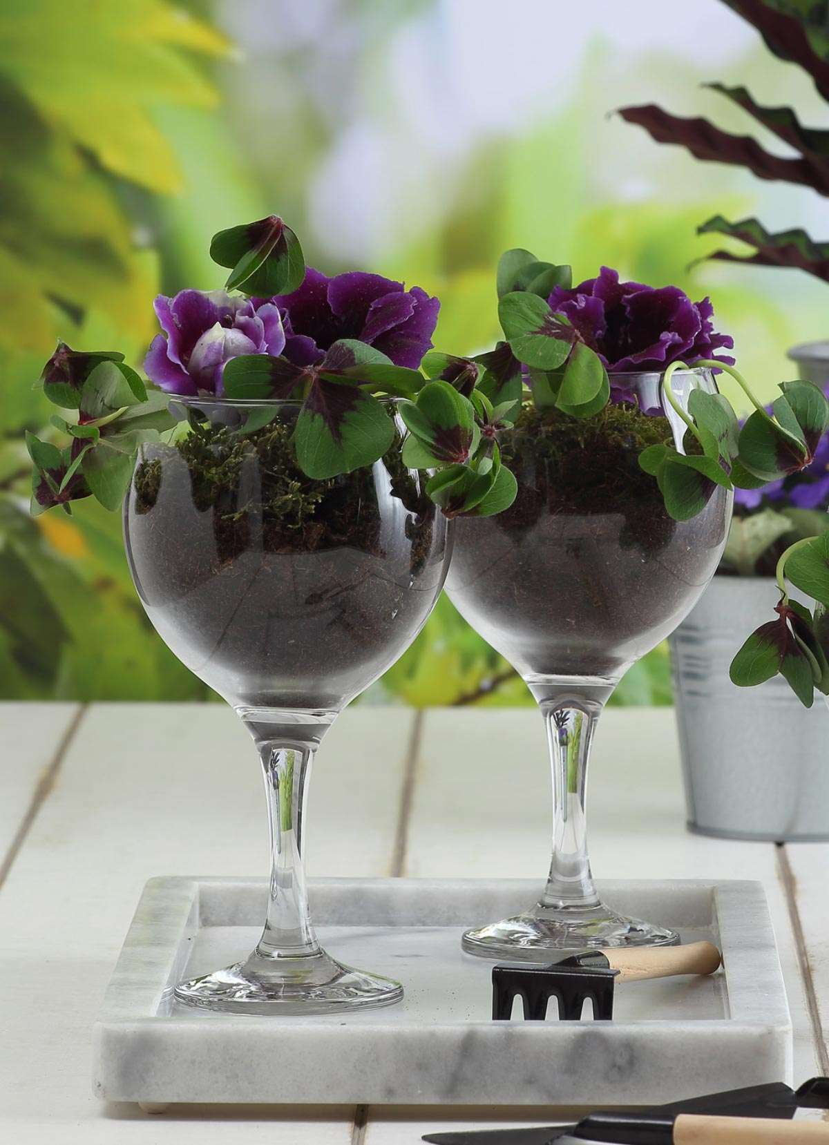 Conjunto de Copos de Vidro – 6 partes – Transparente