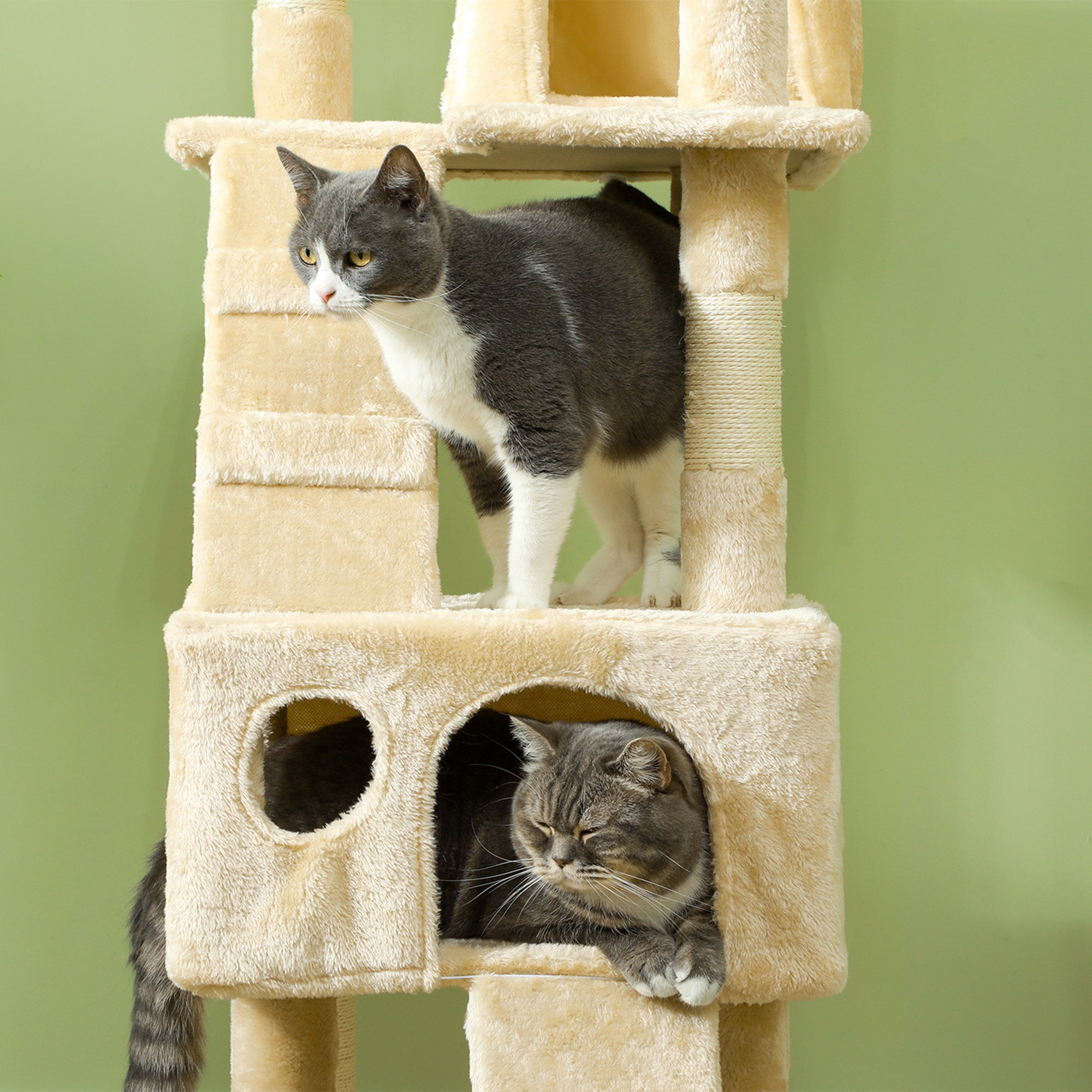 Arranhador para Gatos Grande Bege 49x49x173 cm - Centro de Atividades Multinível