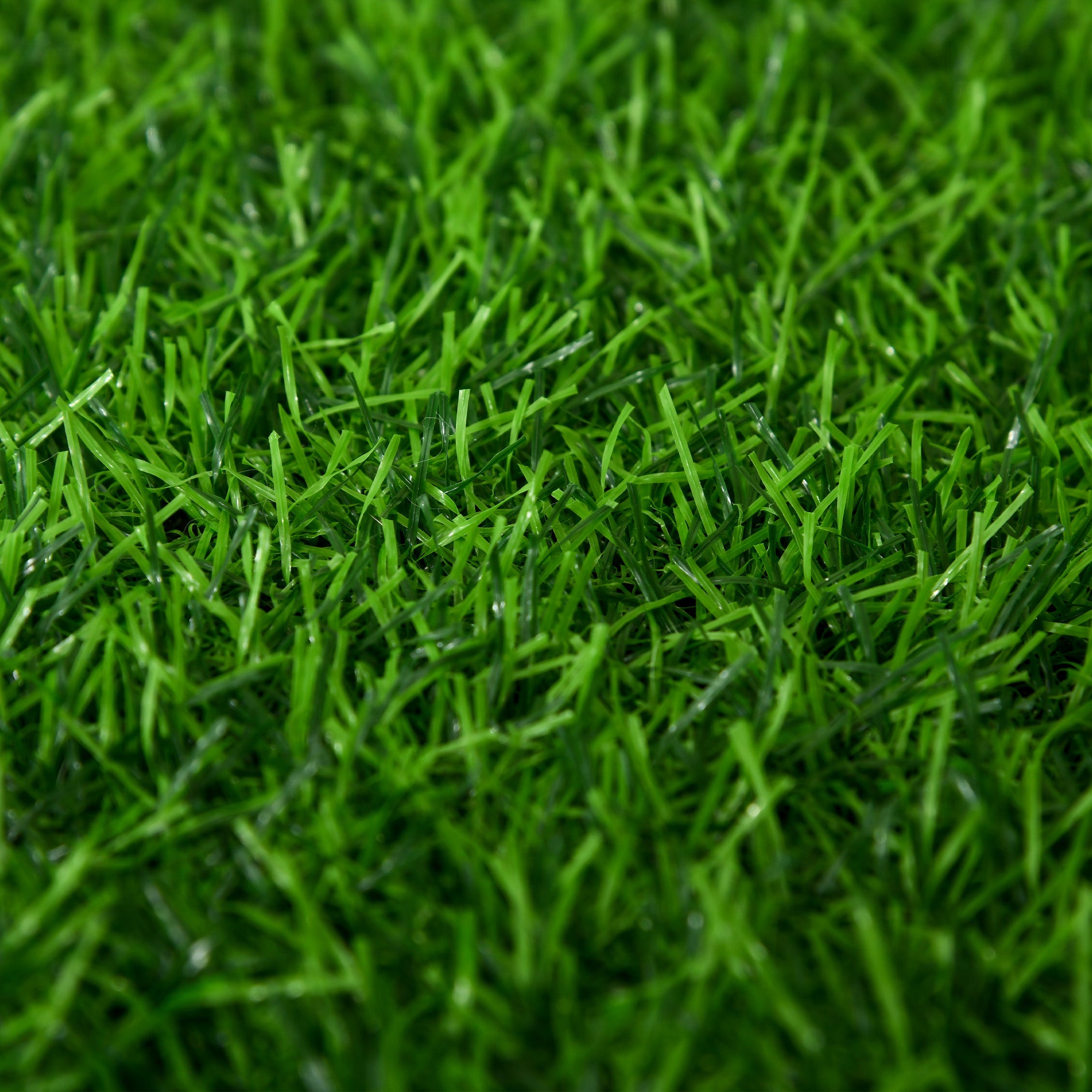 Arranhador para Gatos 50x40x91 cm Verde