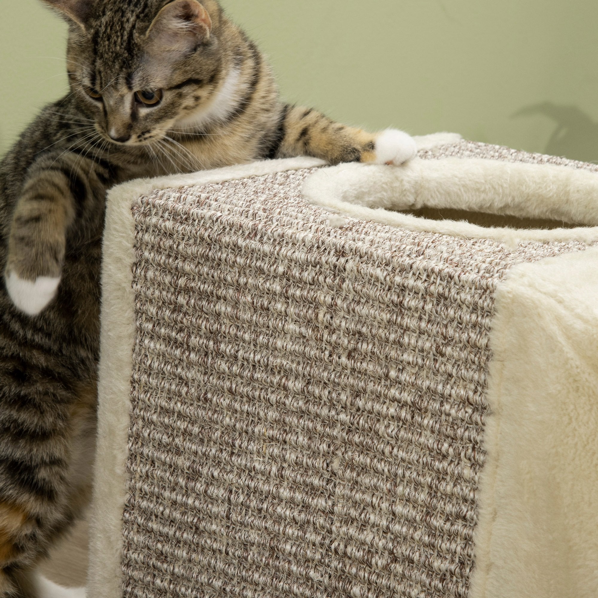 Túnel para Gatos com Bola Suspensa - 98x30x30 cm - Creme e Cinza