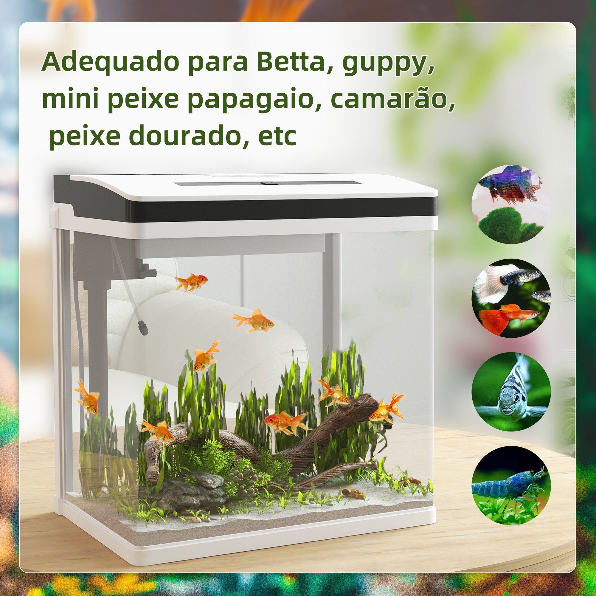 Aquário de Cristal 28L Branco 38x26x39,5 cm - Sistema de Filtração e Iluminação LED