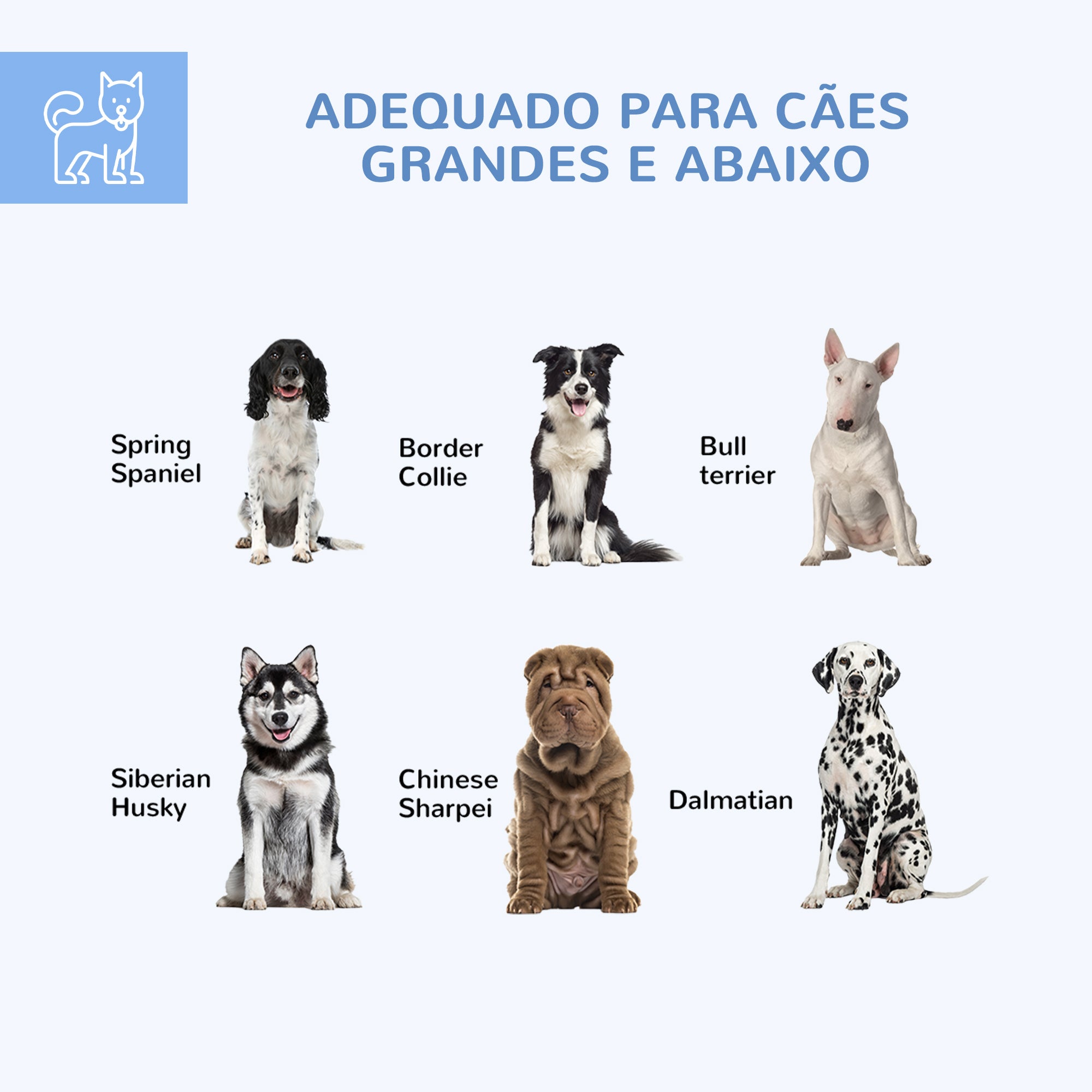 Canil Hexagonal para Cães 210x185x150 cm - Cor Prata