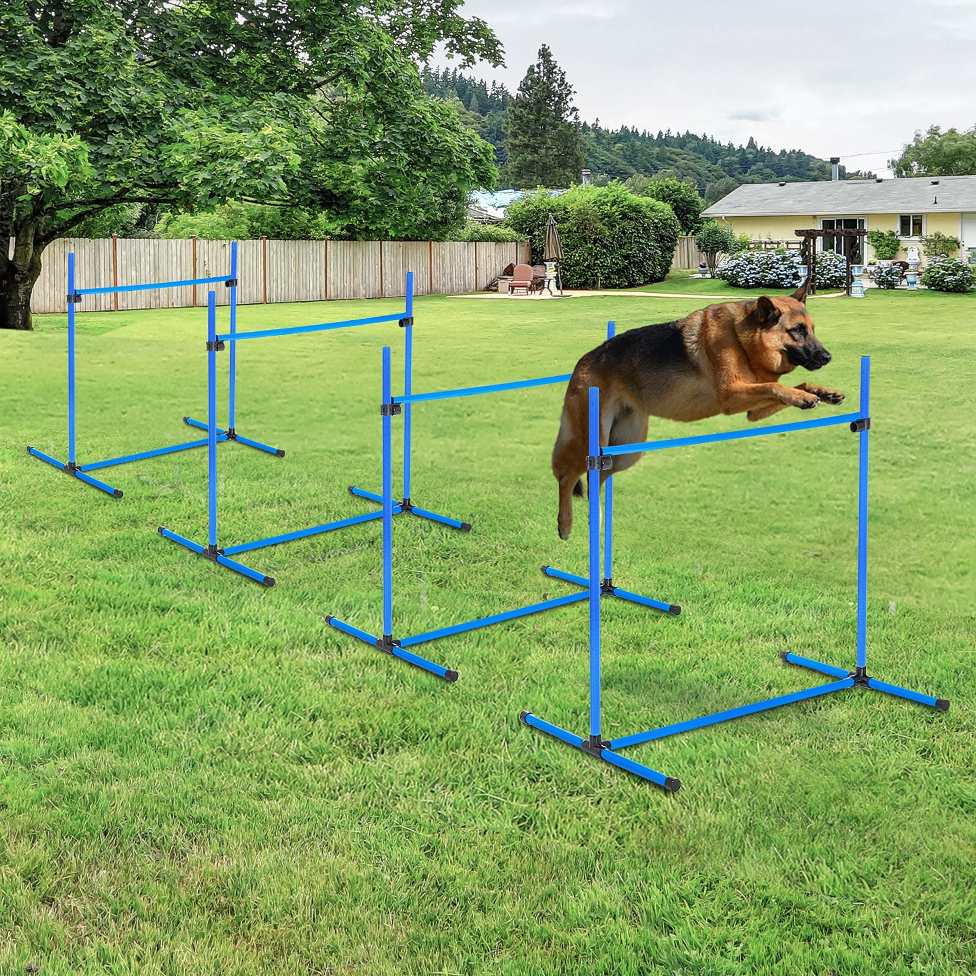 Conjunto de Obstáculos de Treinamento para Cães – 99x65x94 cm – Azul – PE, PVC e ABS