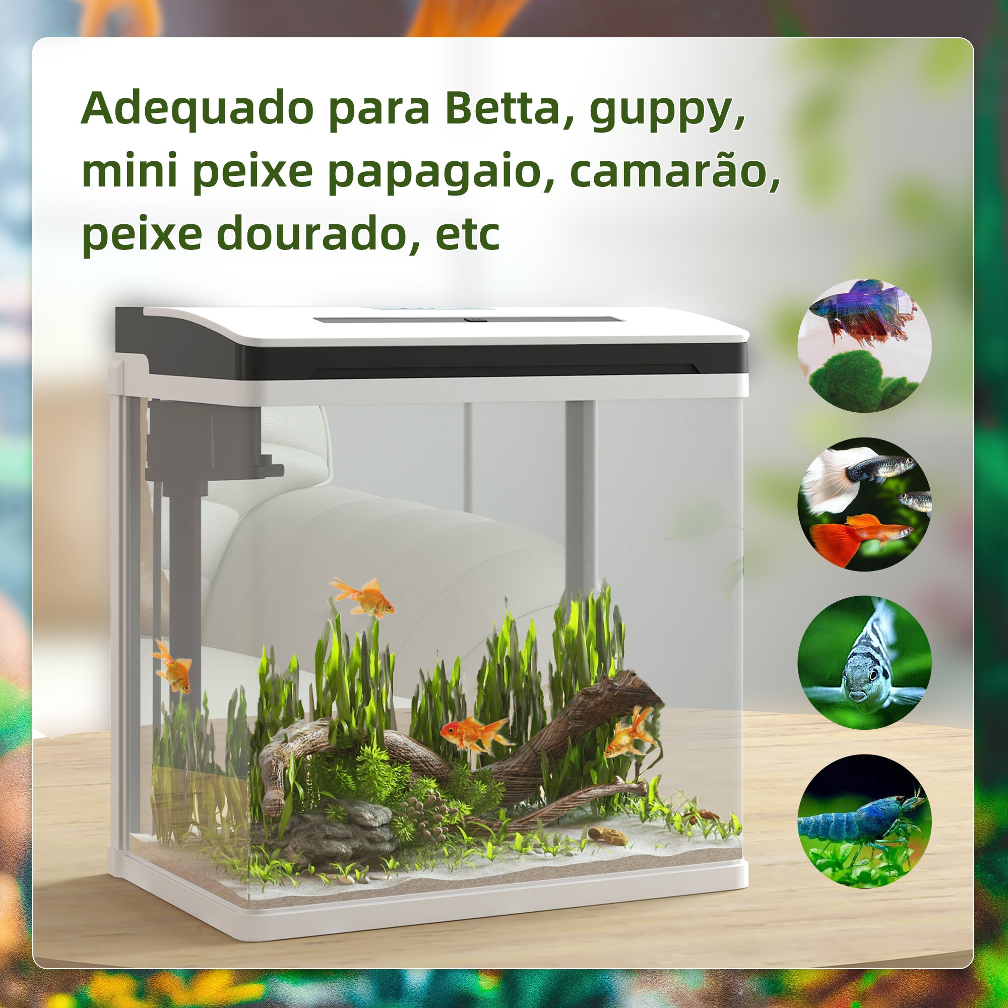 Aquário de Cristal 13L - 29x20x30,5 cm - Branco