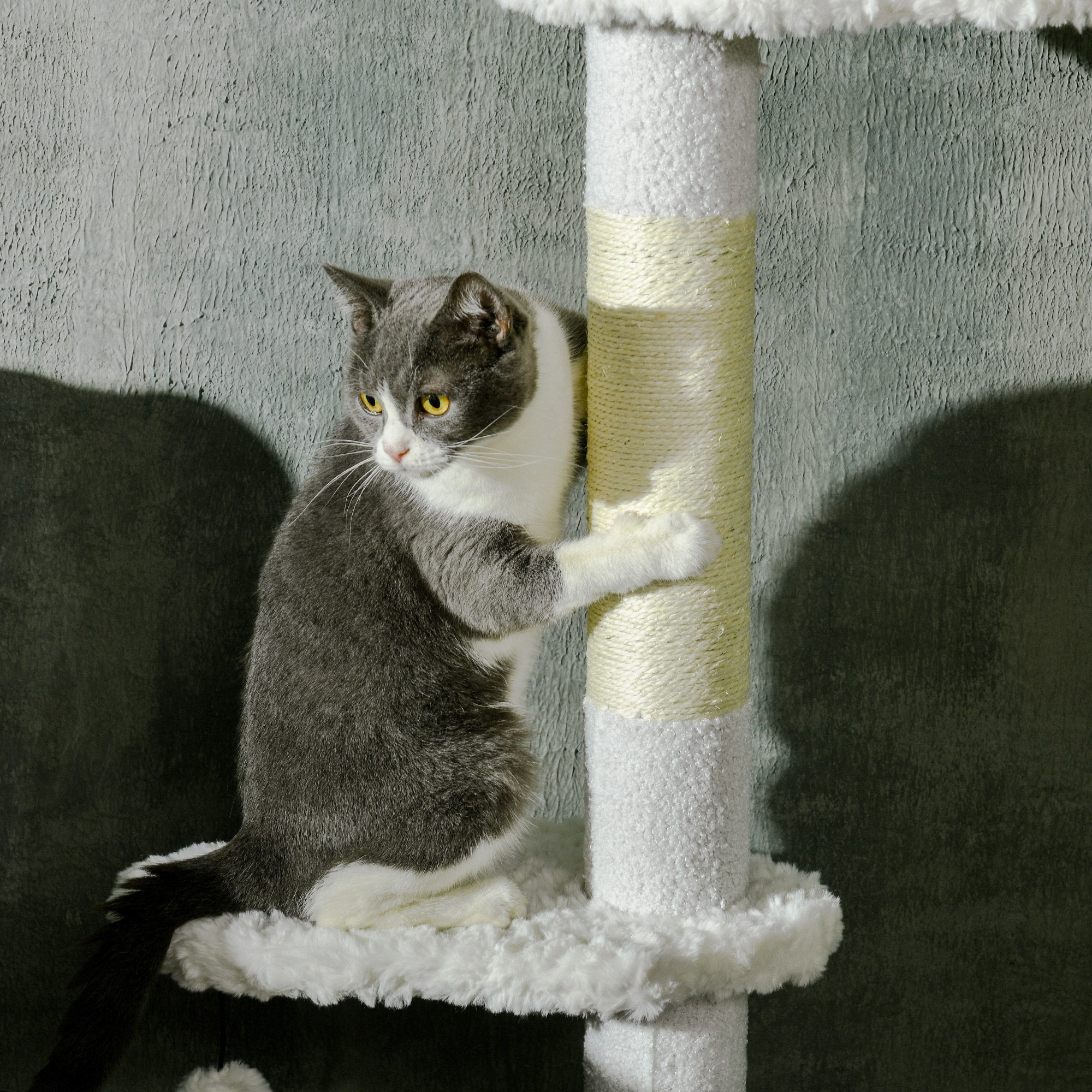 Arranhador para Gatos 255 cm Torre do Chão ao Teto Branco