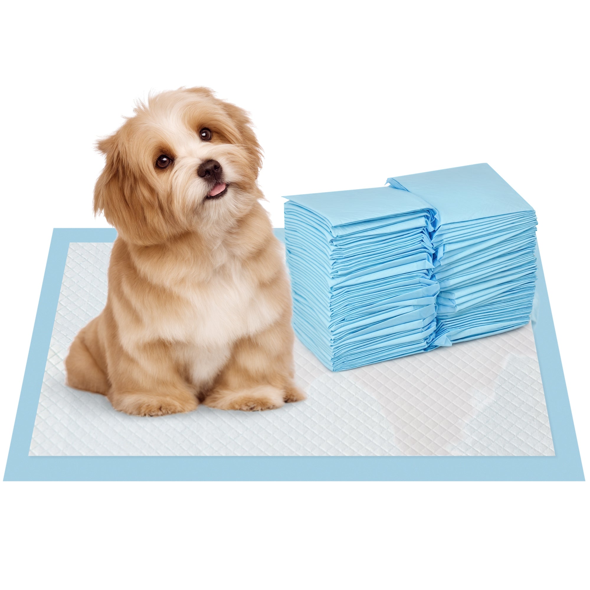 Resguardos de Treino para Cães 45x30 cm Azul