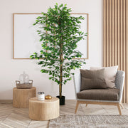 Planta Artificial de Figueira – 180 cm – Verde – Plástico
