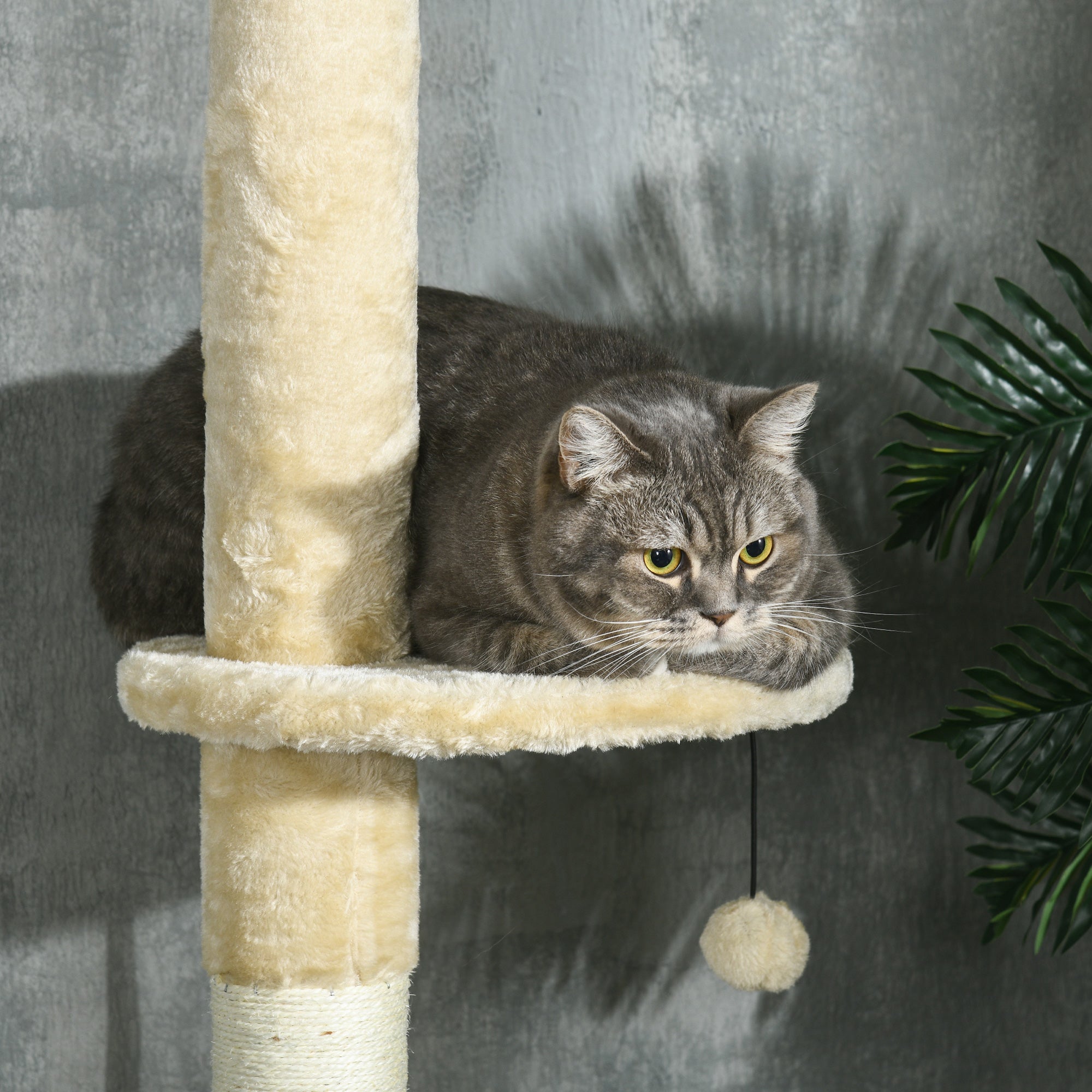 Arranhador para Gatos Chão ao Teto Ø48x225-255 cm Bege