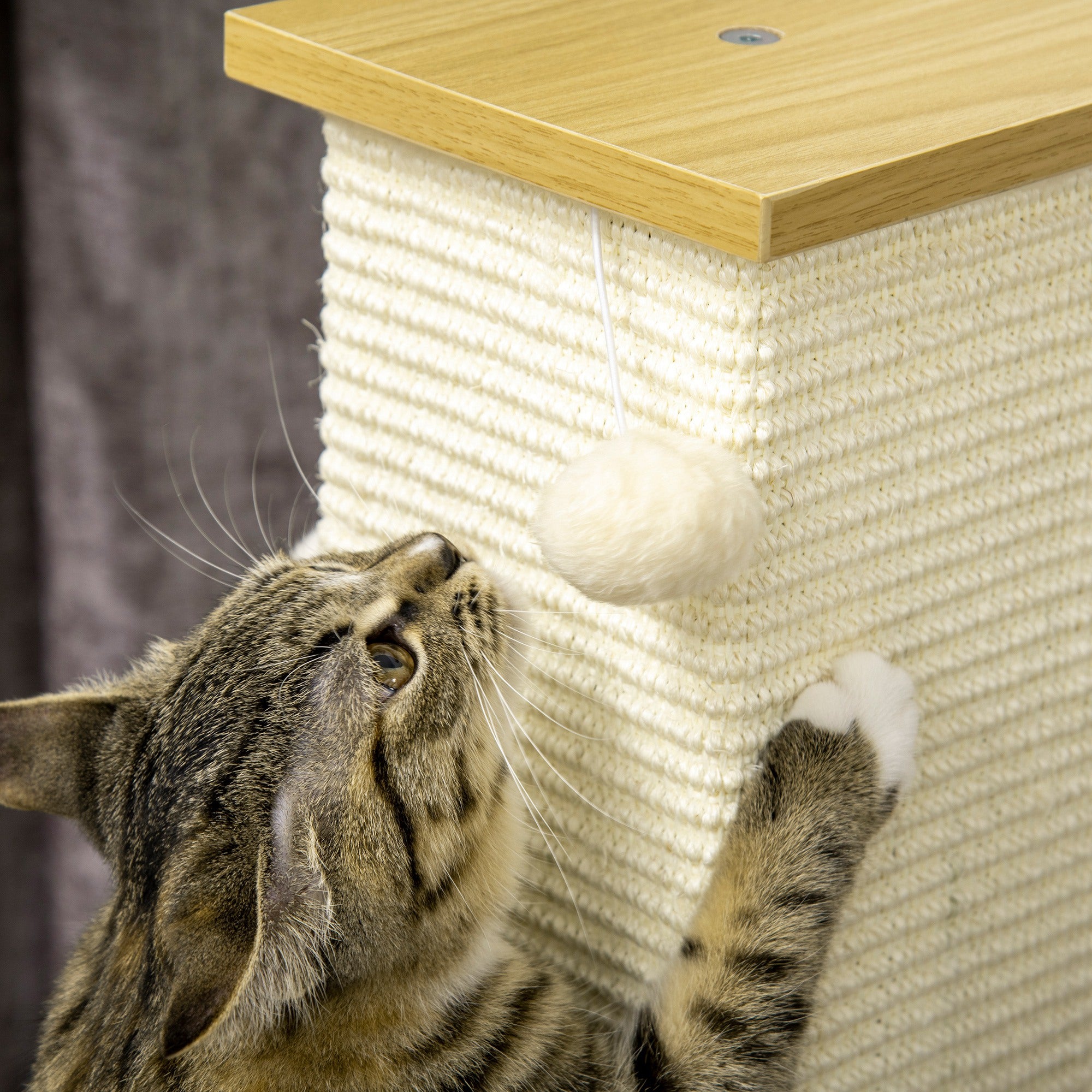 Arranhador para Gatos de 80cm Cor de Carvalho