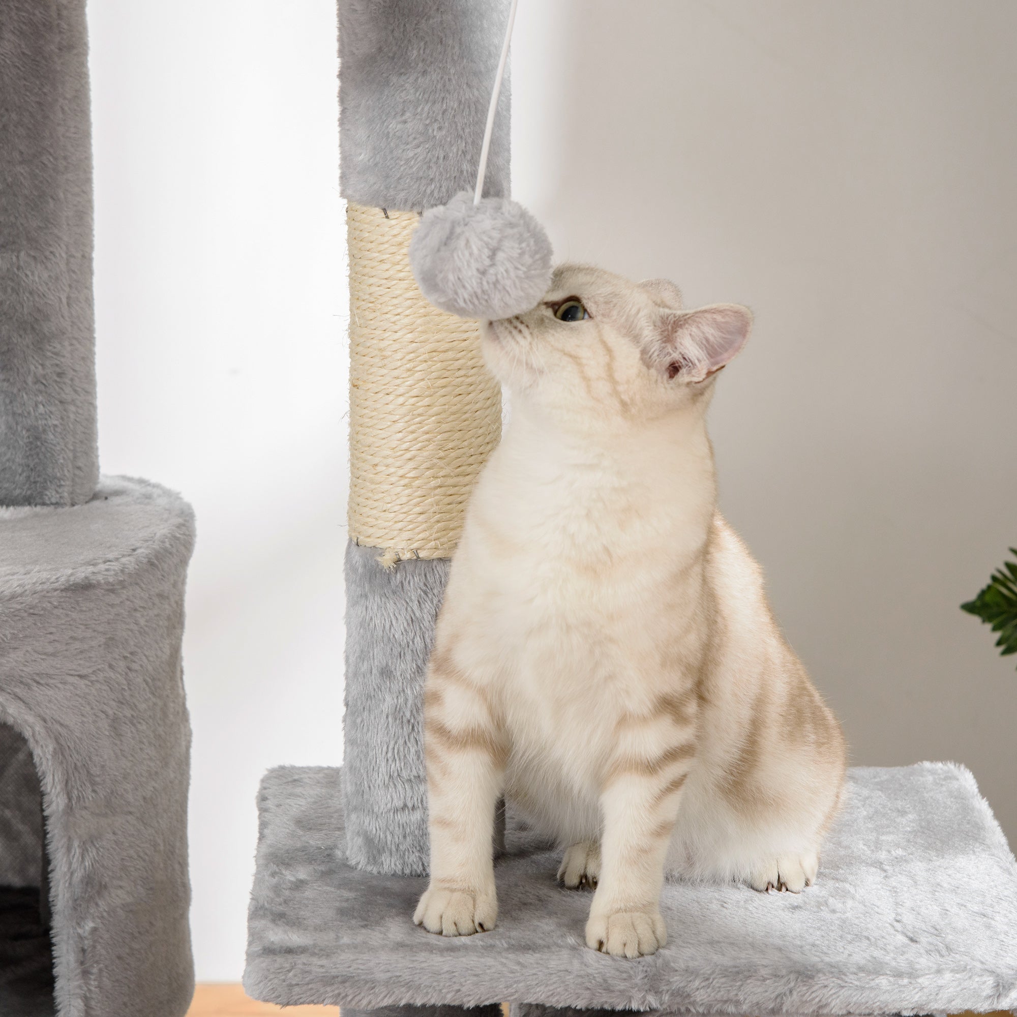Arranhador para Gatos Cinzento de 60x45x260 cm - Altura Ajustável - Múltiplas Plataformas e Rampas